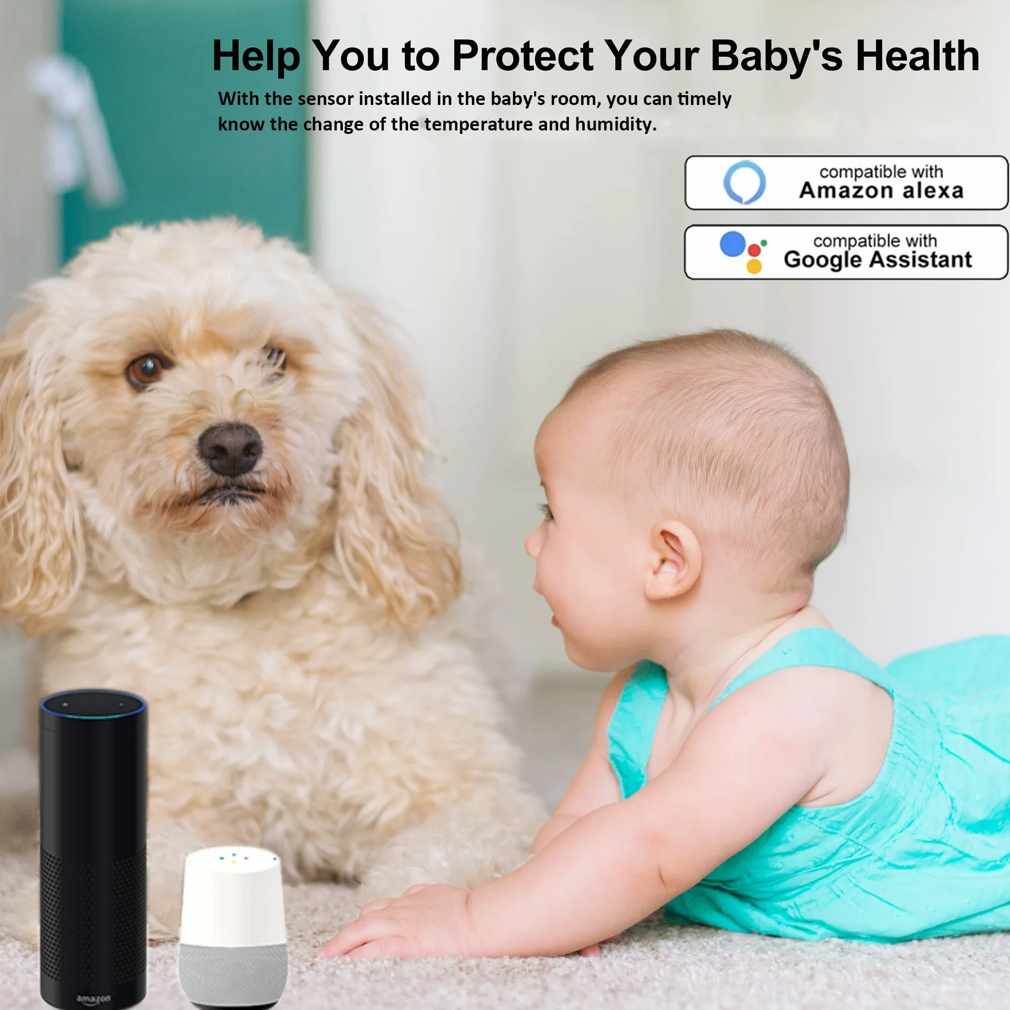 WiFi Hygromètre Thermomètre Capteur, Capteur de température et d'humidité sans fil avec alarme de notification d'application à distance, Fonctionne avec l'application Tuya (4 paquet)