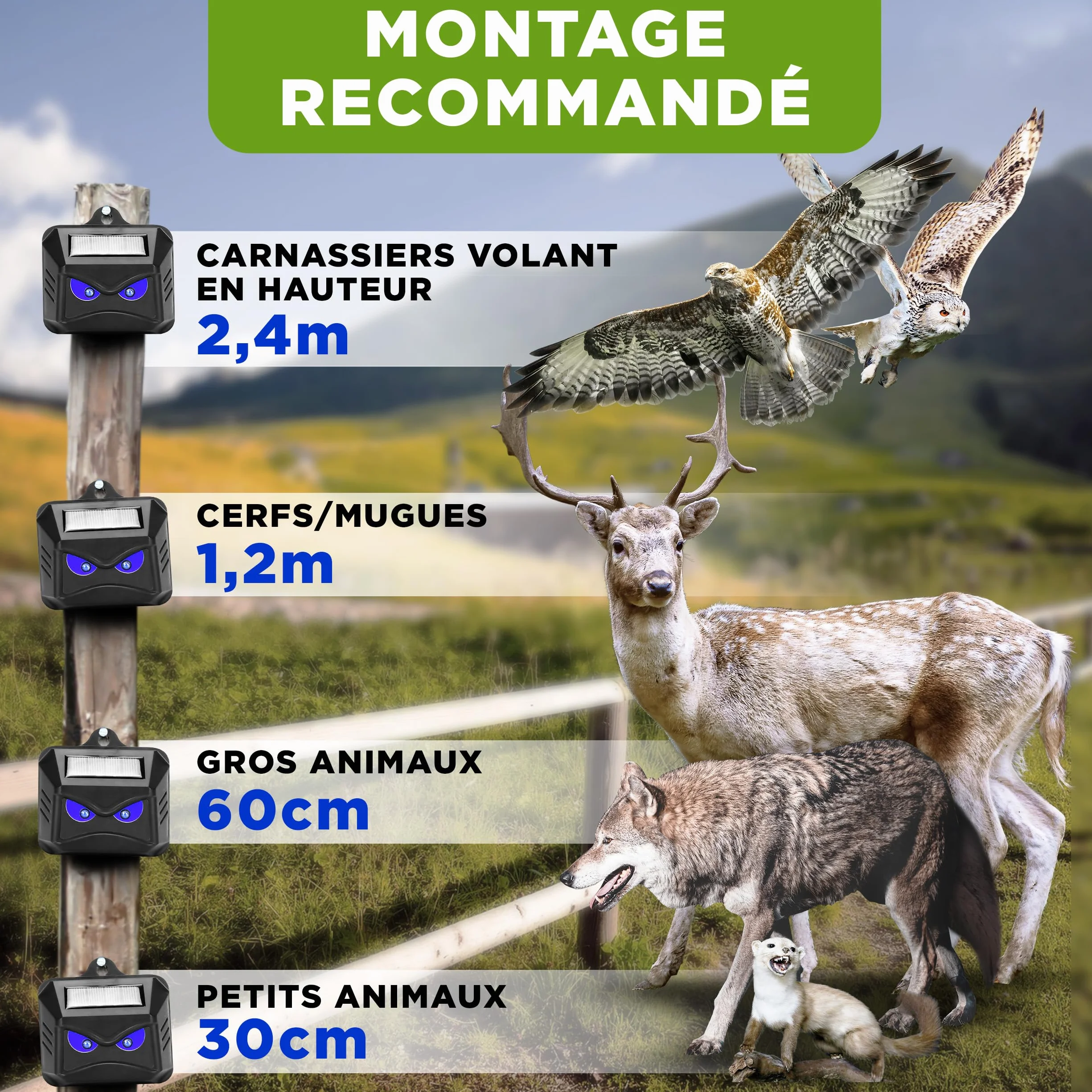 ISOTRONIC Répulsif Solaire Ratons Laveurs Cerfs Renards Sangliers Protection Animaux Sauvages LED Bleue 40 m² Lot de 4 Pièces Jardin