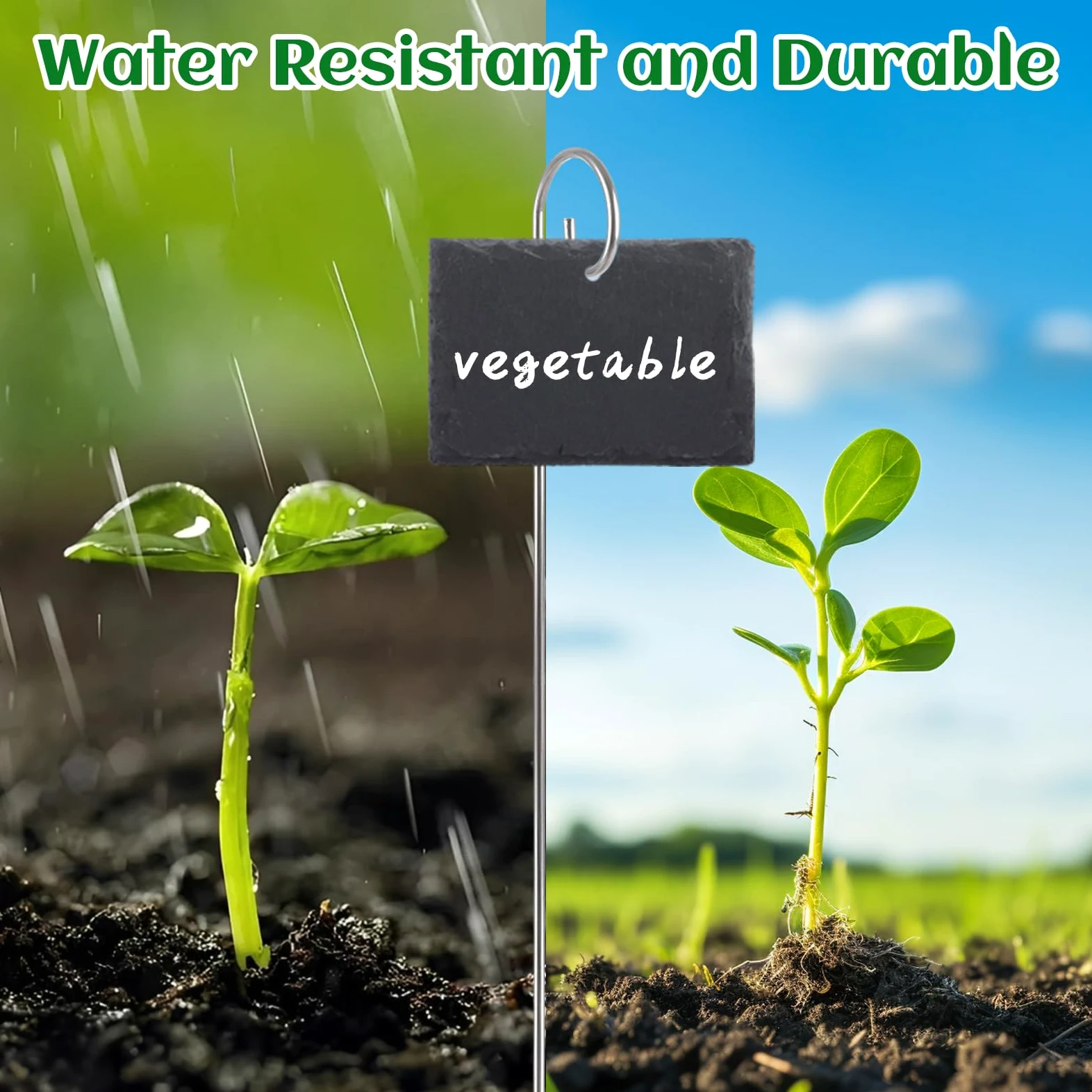 APACALI Lot de 15 étiquettes rectangulaires pour plantes en ardoise - 10 x 7 cm - Avec tiges en acier inoxydable de 40 cm - Pour plantes d'extérieur, légumes, fleurs