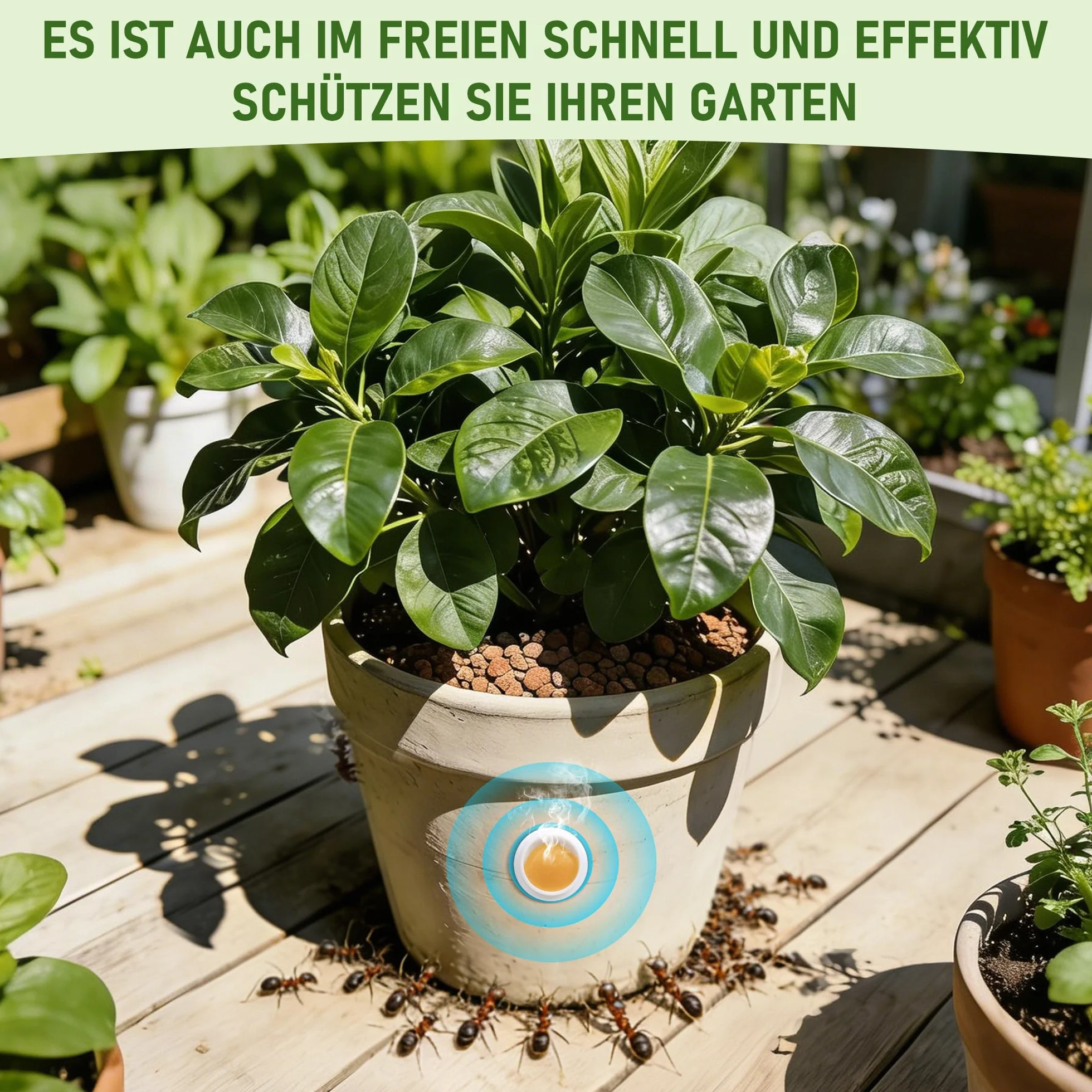 Pièges à fourmis Lot de 64 pour Intérieur Extérieur Jardin Terrasse Animaux Enfants