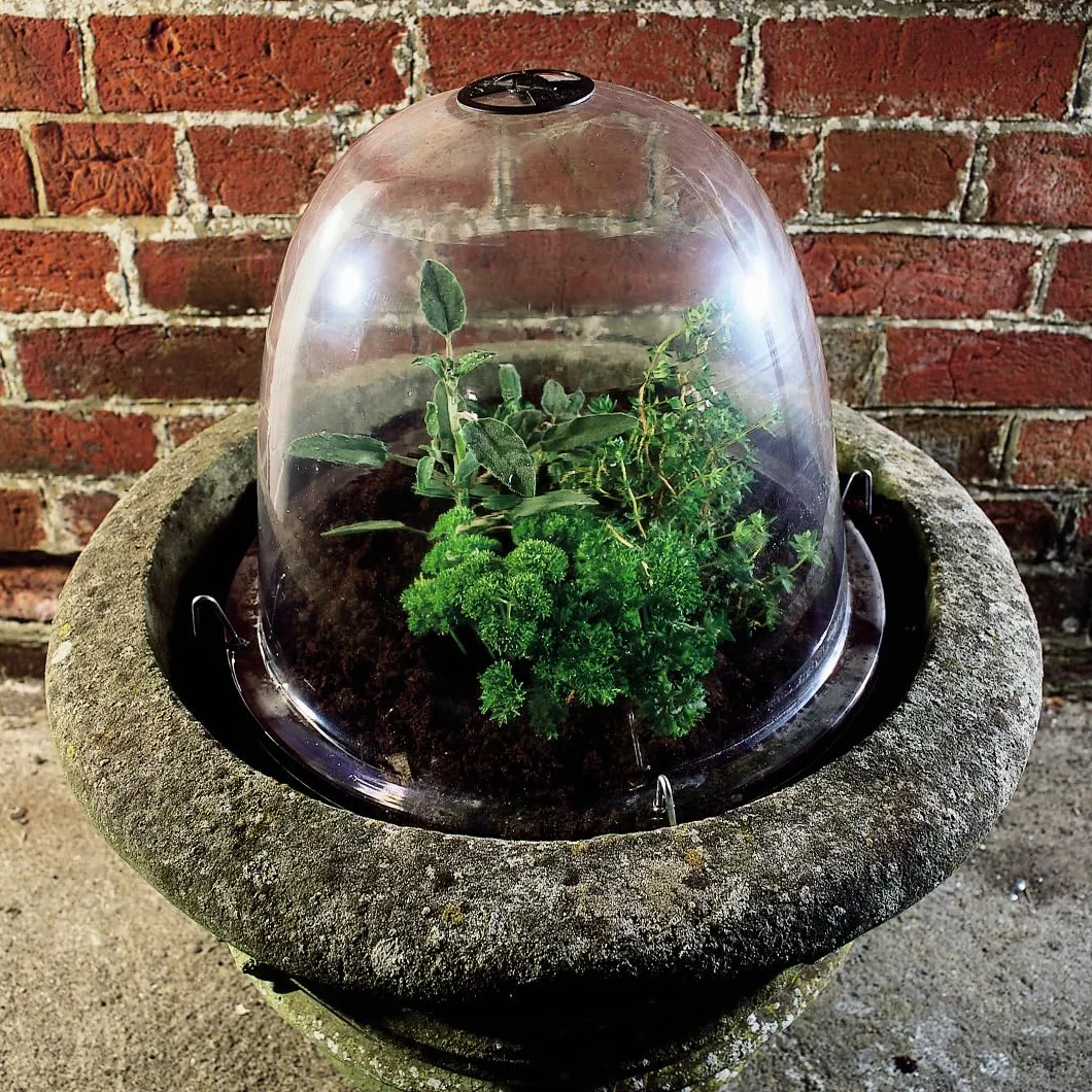 Haxnicks TIERRA GARDEN Lot de 3 Cloches de Jardin Transparentes Original 34 x 26 cm