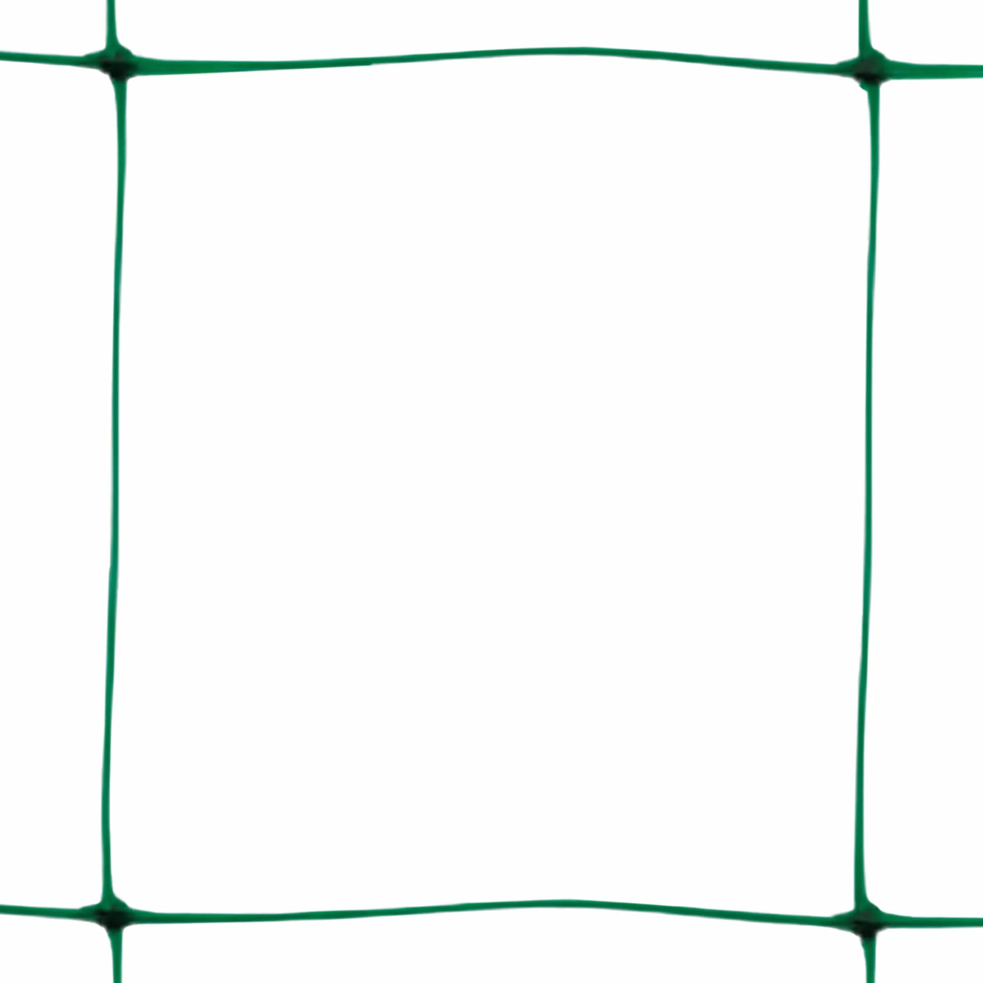 TENAX filet à Ramer Flora 2,00x10 m Vert