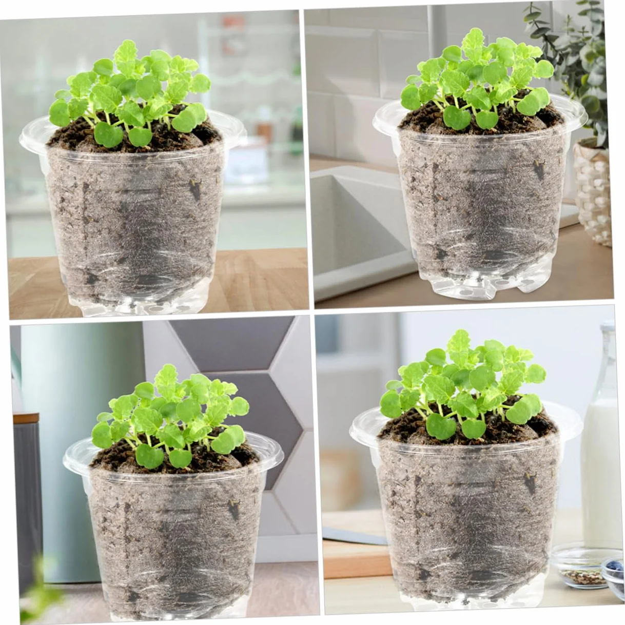 TOYANDONA Lot de 10 Sets de Petits Pots de Fleurs avec Couvercle Trous de Drainage Ajustement Température Humidité Jardinage Intérieur Extérieur