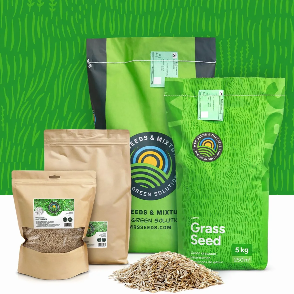 MRS Clover Lawn Semences de gazon micro-trèfle 1 kg 50 m² résistante sécheresse peu entretien ombragées