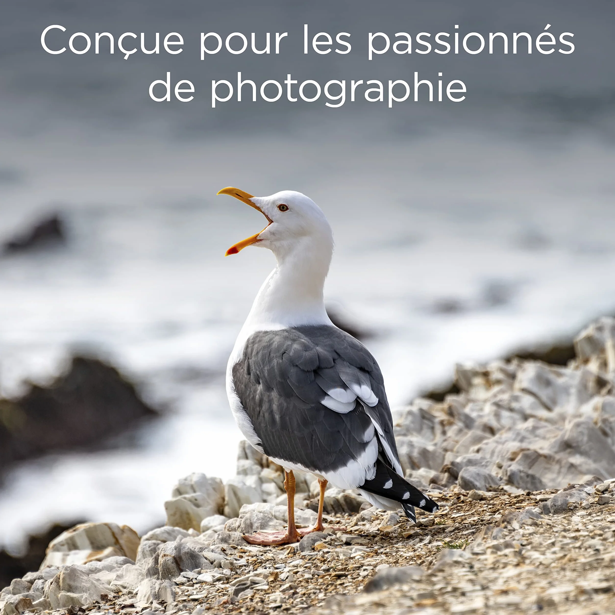 Integral 16GB Compact Flash Card pour Photographie