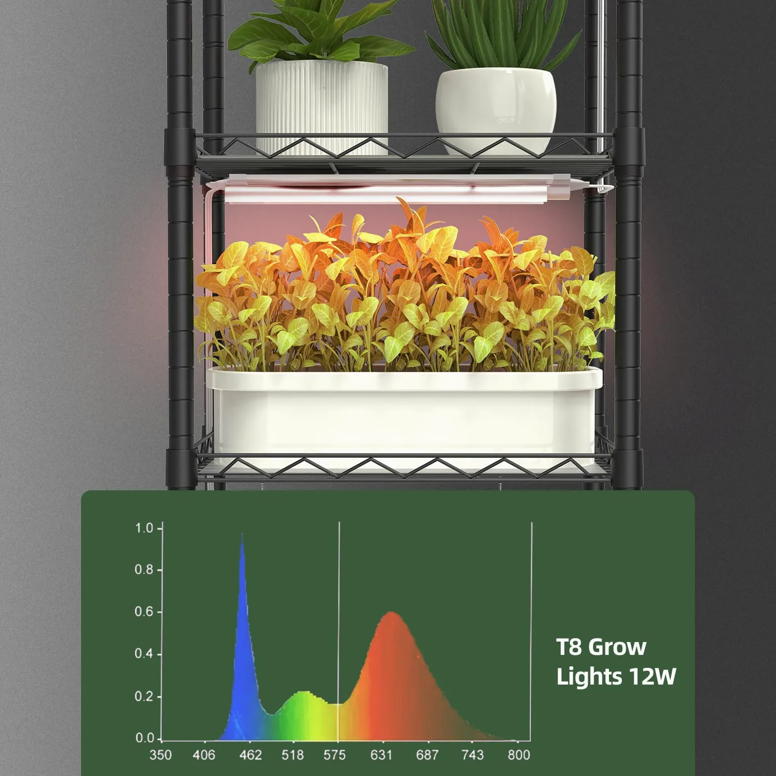 Support pour plantes avec lampes de croissance, étagère en métal à 5 niveaux avec 4 lampes de croissance à spectre complet de 48 W, minuterie automatique, support de pot de fleurs échelle