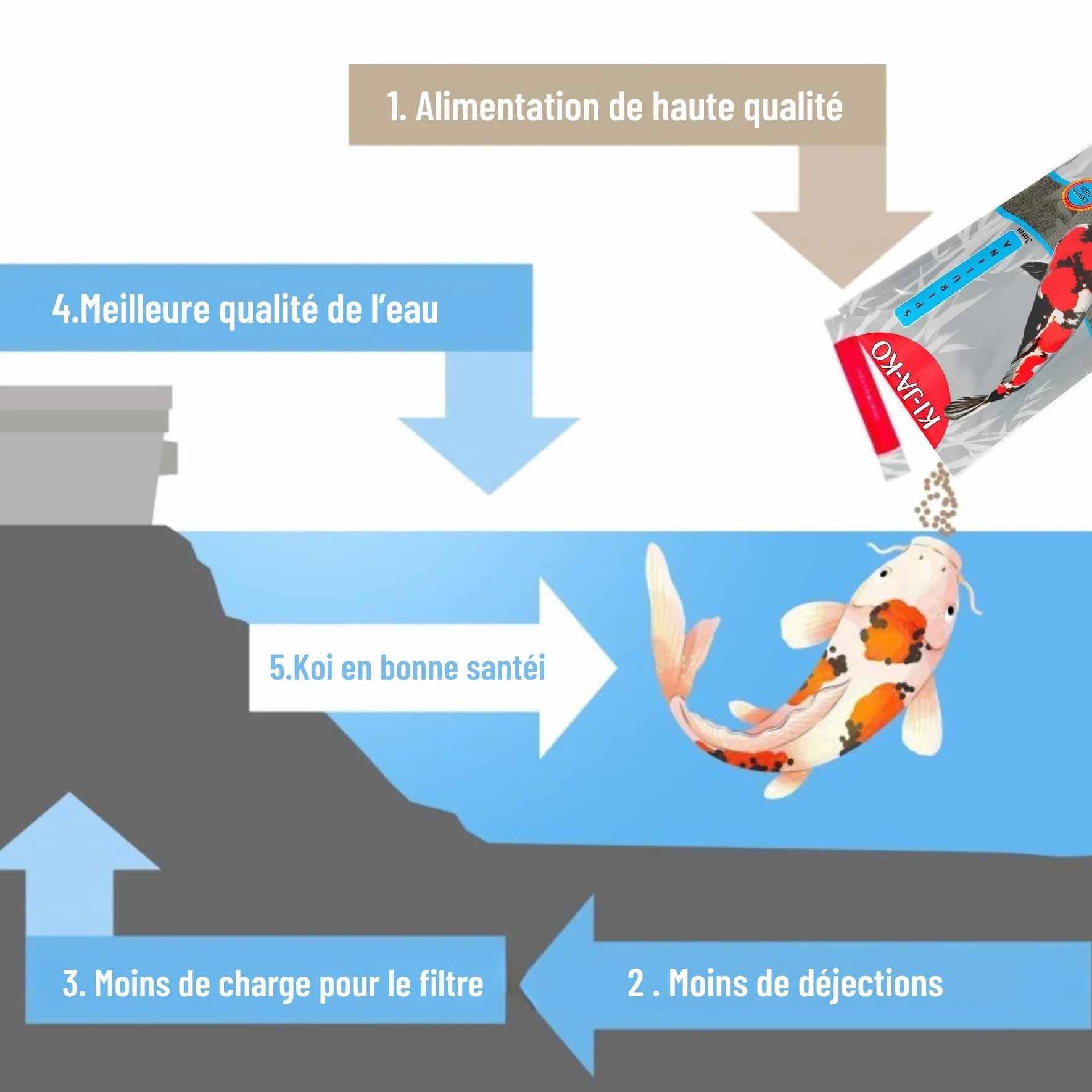 Spirulina Plus Nourriture pour Poissons caroténoïdes Riches en caroténoïdes 10 kg/6 mm – avec capsanthine et astaxanthine et forplus (algues Riches en oméga-3)