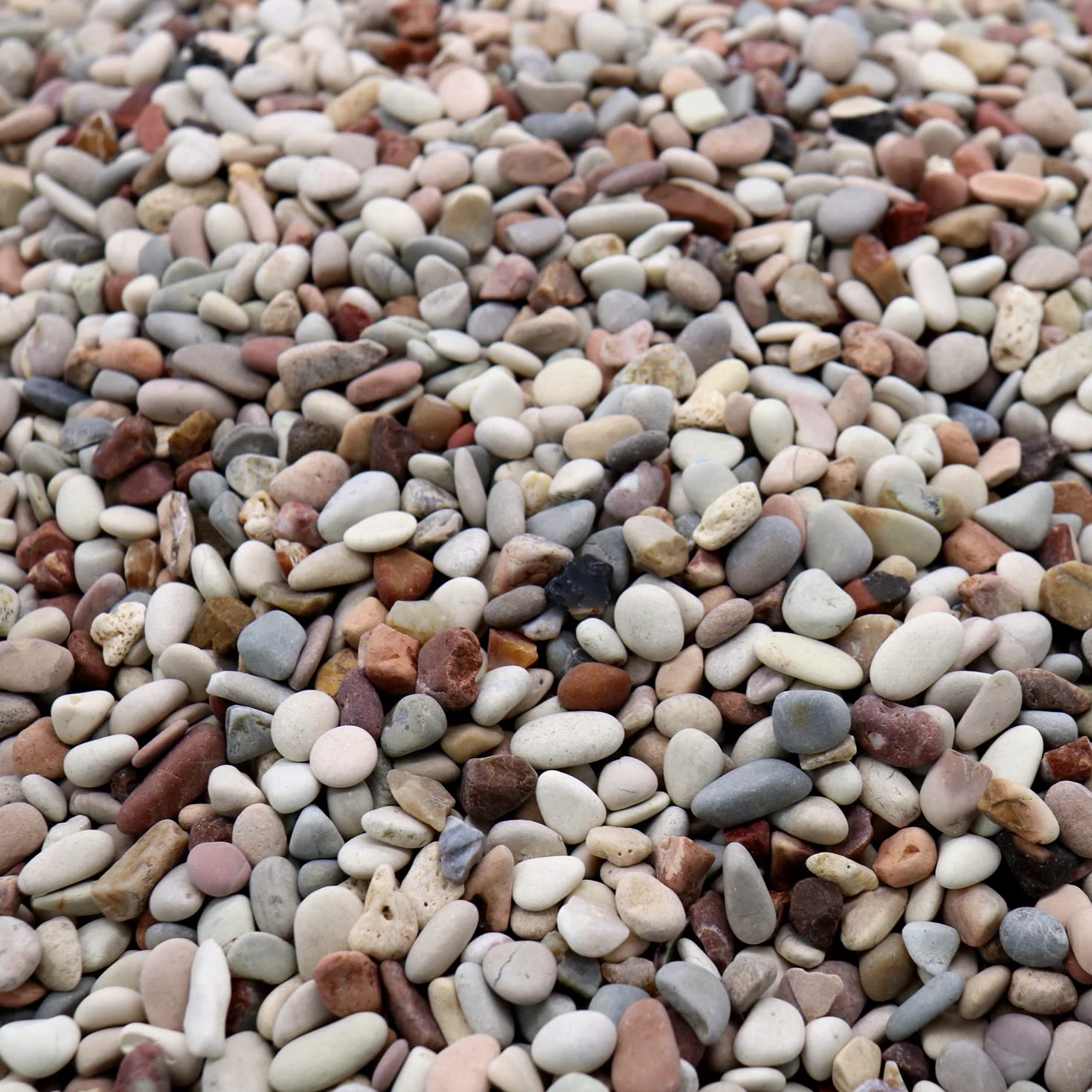 Roches pour plantes. Galets décoratifs couleur terre de 1,27 cm - 4,5 kg pour jardin, remplissage de vases, artisanat, plantes succulentes, pots, plantes (mini (0,6 cm), couleurs