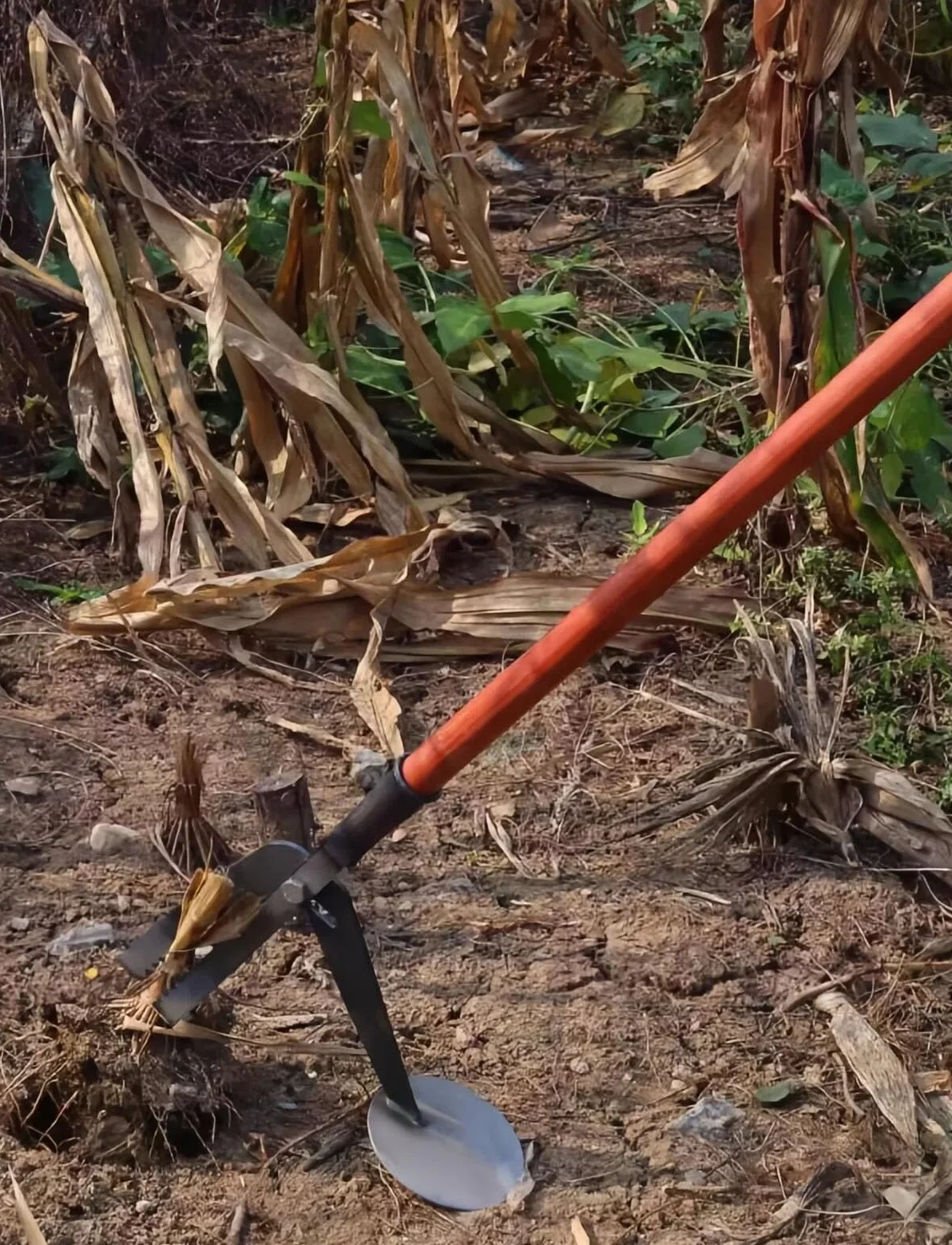Outil de retrait de souches d'arbre, extracteur manuel avec tête dentelée pour une extraction facile des racines, équipement de jardinage durable pour enlever les tiges de maïs et le soja