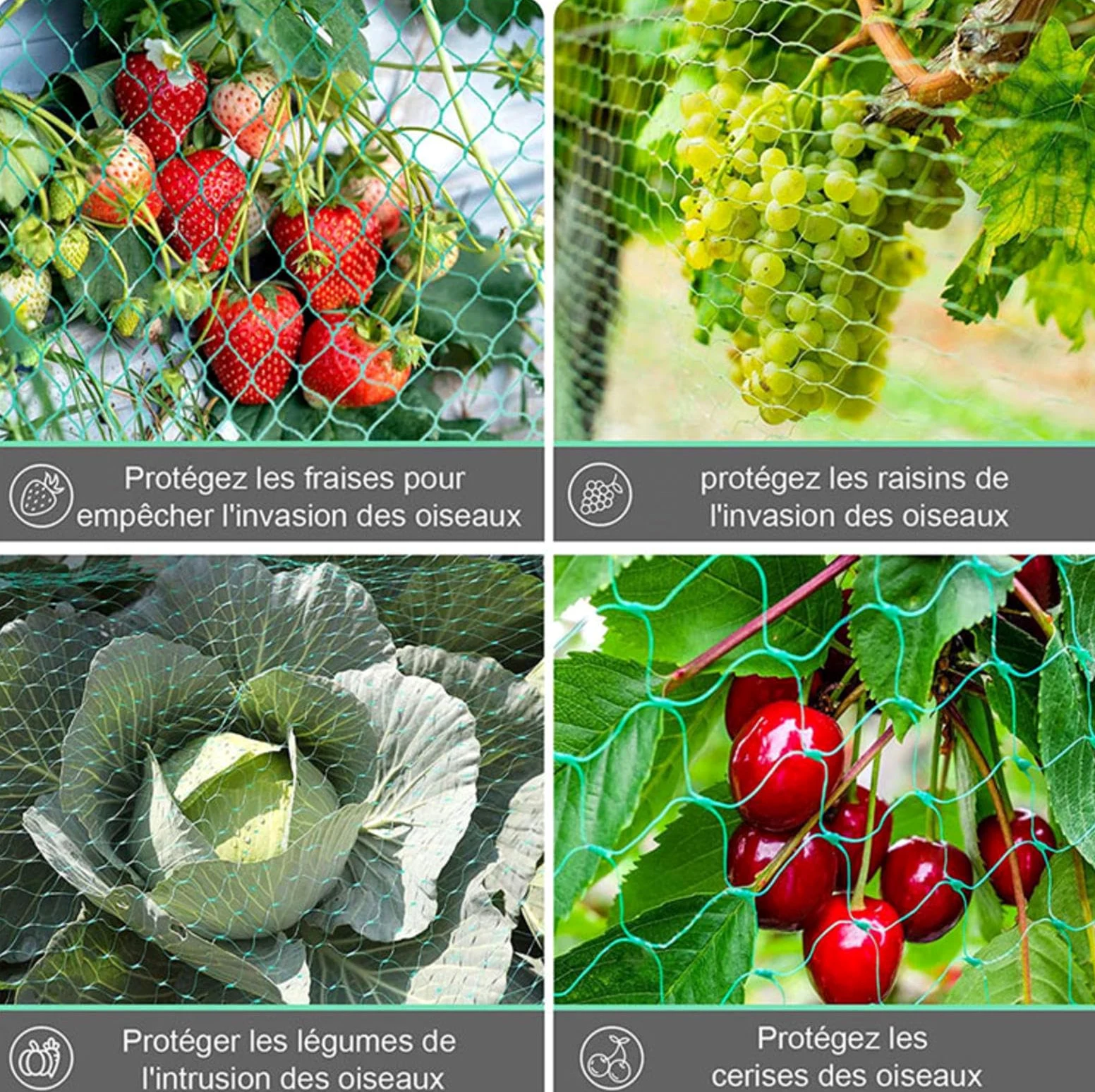 Filet Protection Oiseaux Potager Filet de Protection pour Jardin Légumes Mesh Net pour Oiseaux Contrôle,10x10m