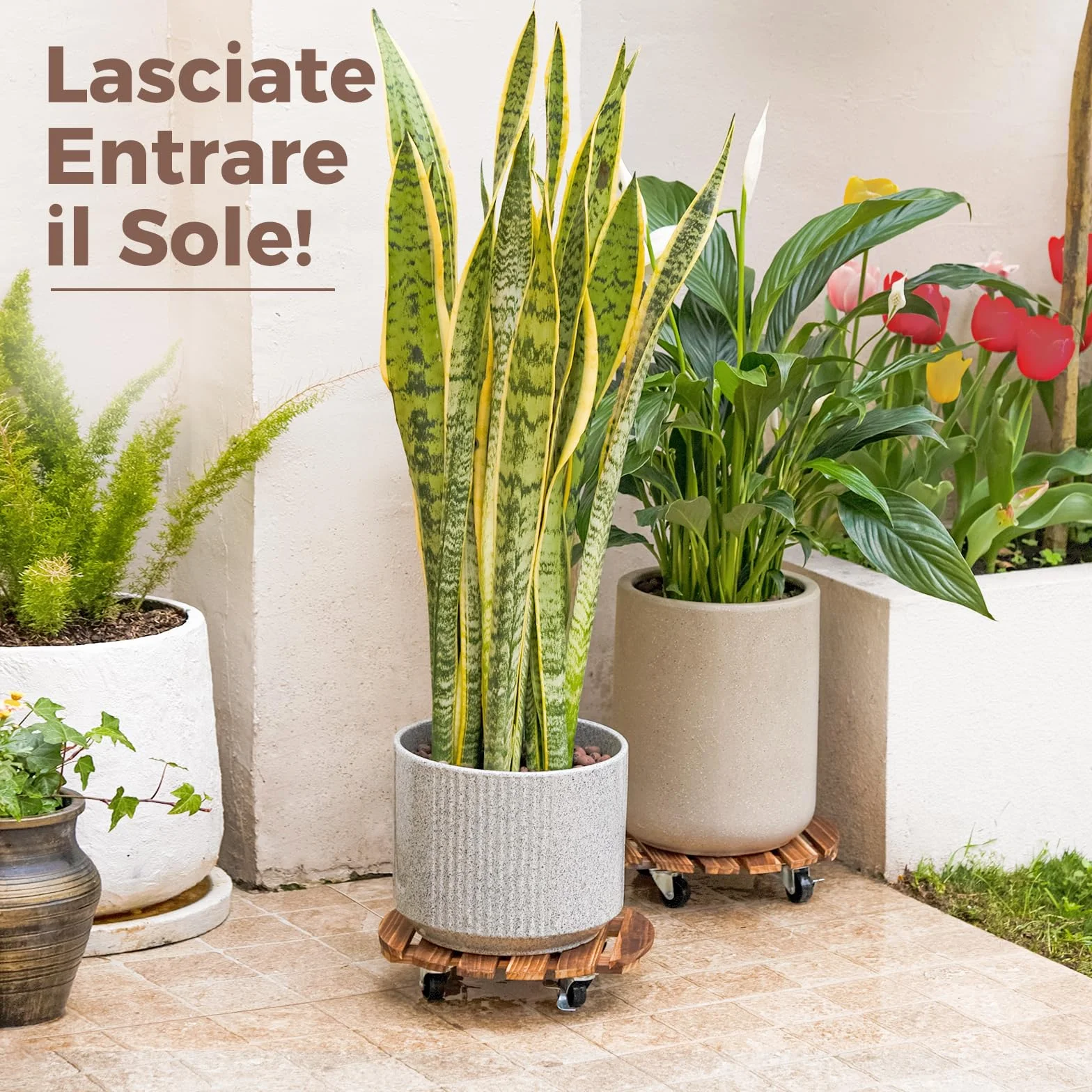 Bamworld Lot de 2 paniers à plantes en bois 35,6 cm avec roulettes – Chariot robuste 108,9 kg roues verrouillables 360°