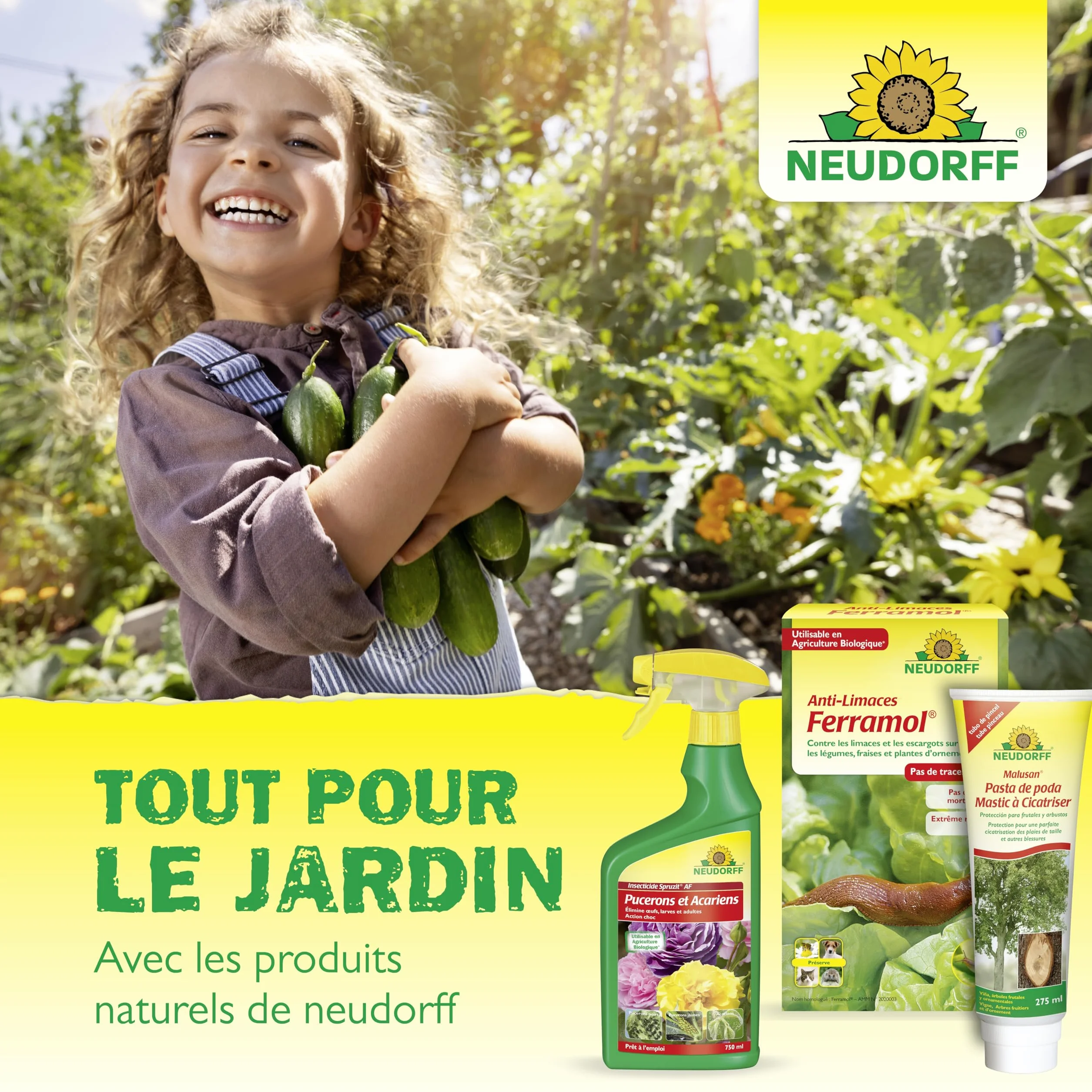 Neudorff Finalsan Désherbant Allées Terrasses 1 L
