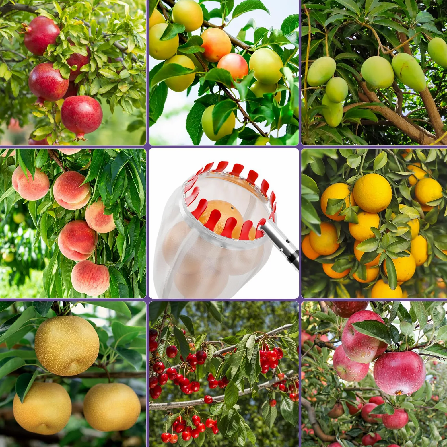 Cueilleuse à fruits avec manche télescopique de 6 m - Diamètre : 16 cm | Cueilleuse à prunes avec sac de rangement