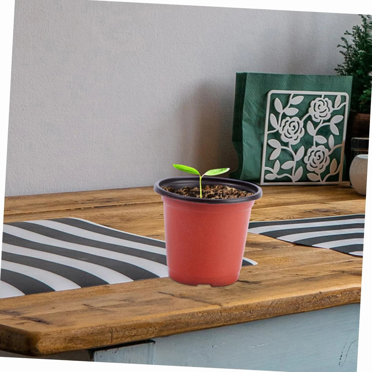 Gatuida 120 Pots pour Semis avec Drainage, Pots de Fleurs Plastique Légers pour Plantes Succulentes et Extérieur