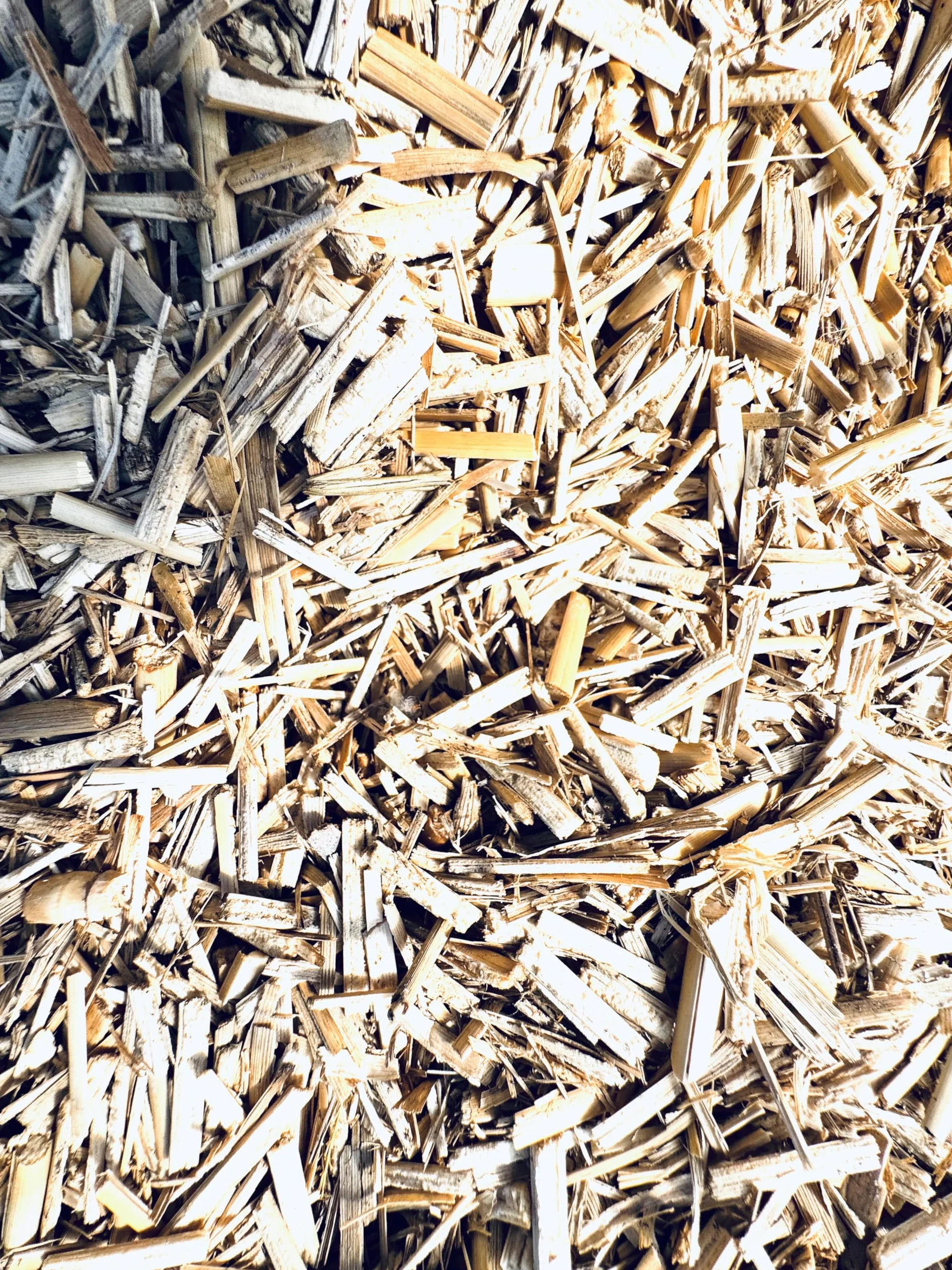 Paillage Naturel Miscanthus Français 15 kg (130L) Support de Culture NF U 44-551