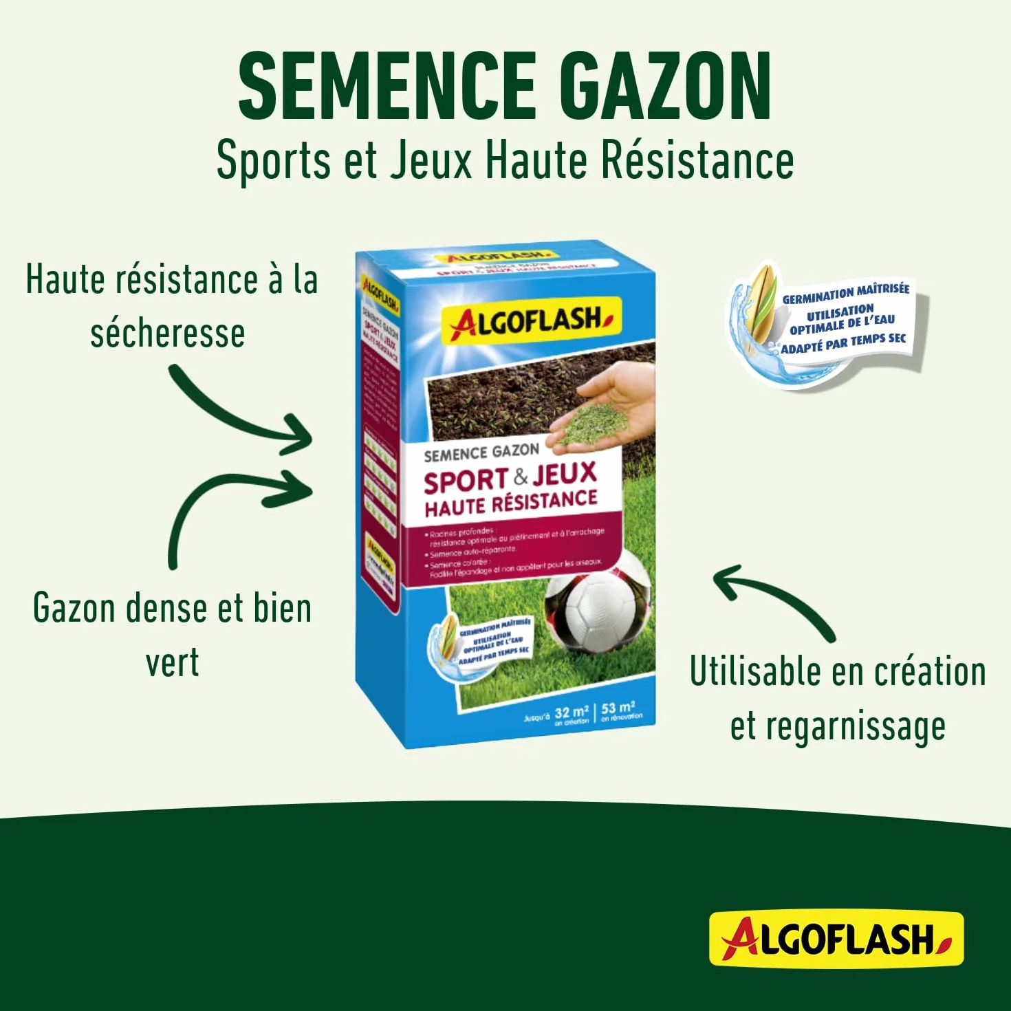 Algoflash Semence Gazon Sport & Jeux Haute Résistance 800 g
