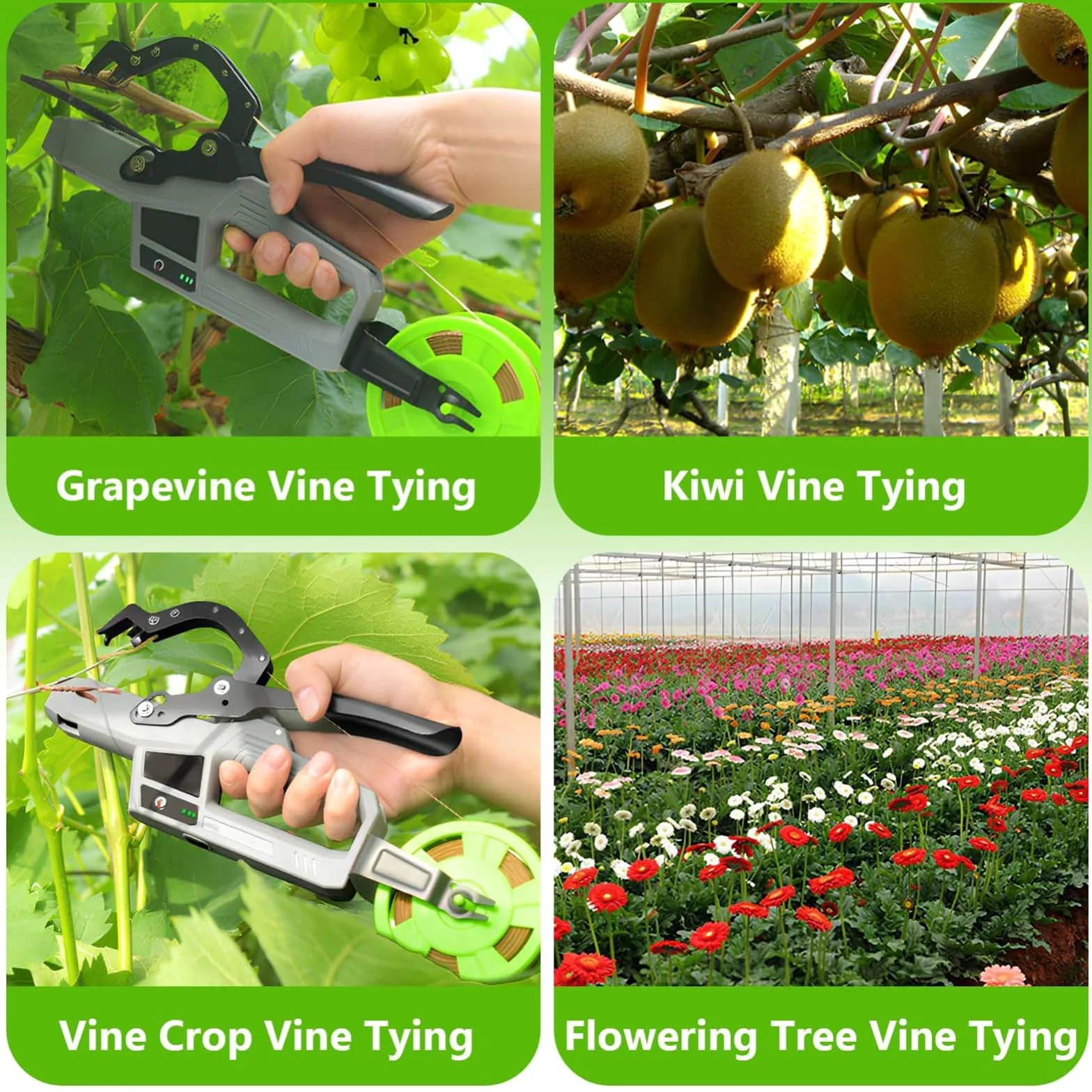 Outil de fixation sans fil pour plantes avec 2 fils, faisceau max 45 mm, pour jardiniers, agriculteurs, économise du temps