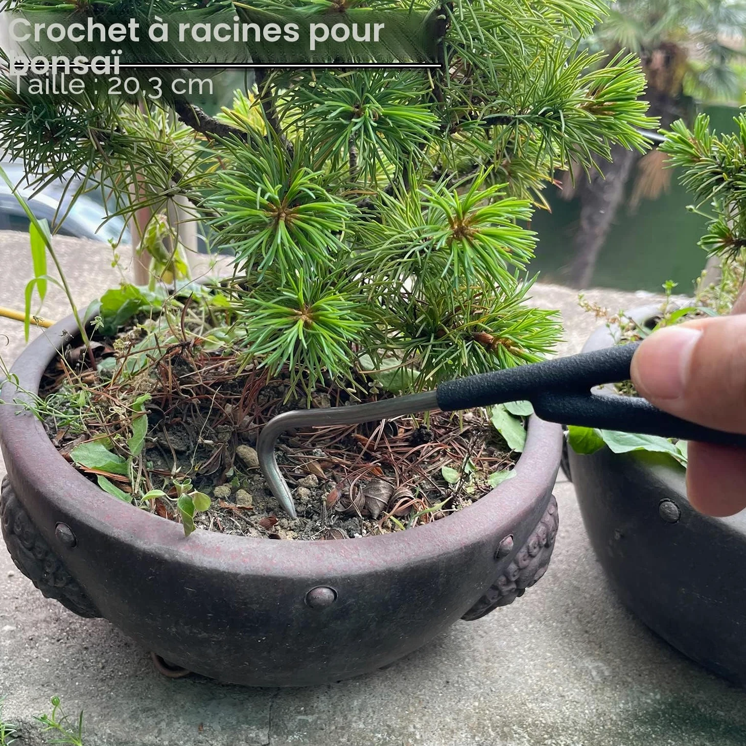 vouiu Lot de 6 outils pour bonsaï, coupe-bordures, coupe-boutons, pince Jin, coupe-fil, ciseaux à bonsaï, crochet racine