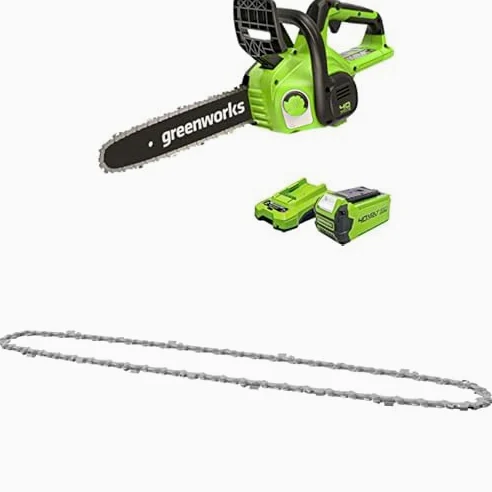 Greenworks 40V 30cm Tronçonneuse avec Batterie 40V 2Ah et Chargeur-G40CS30IIK2 + Greenworks 30cm Chaîne de remplacement pour tronçonneuse