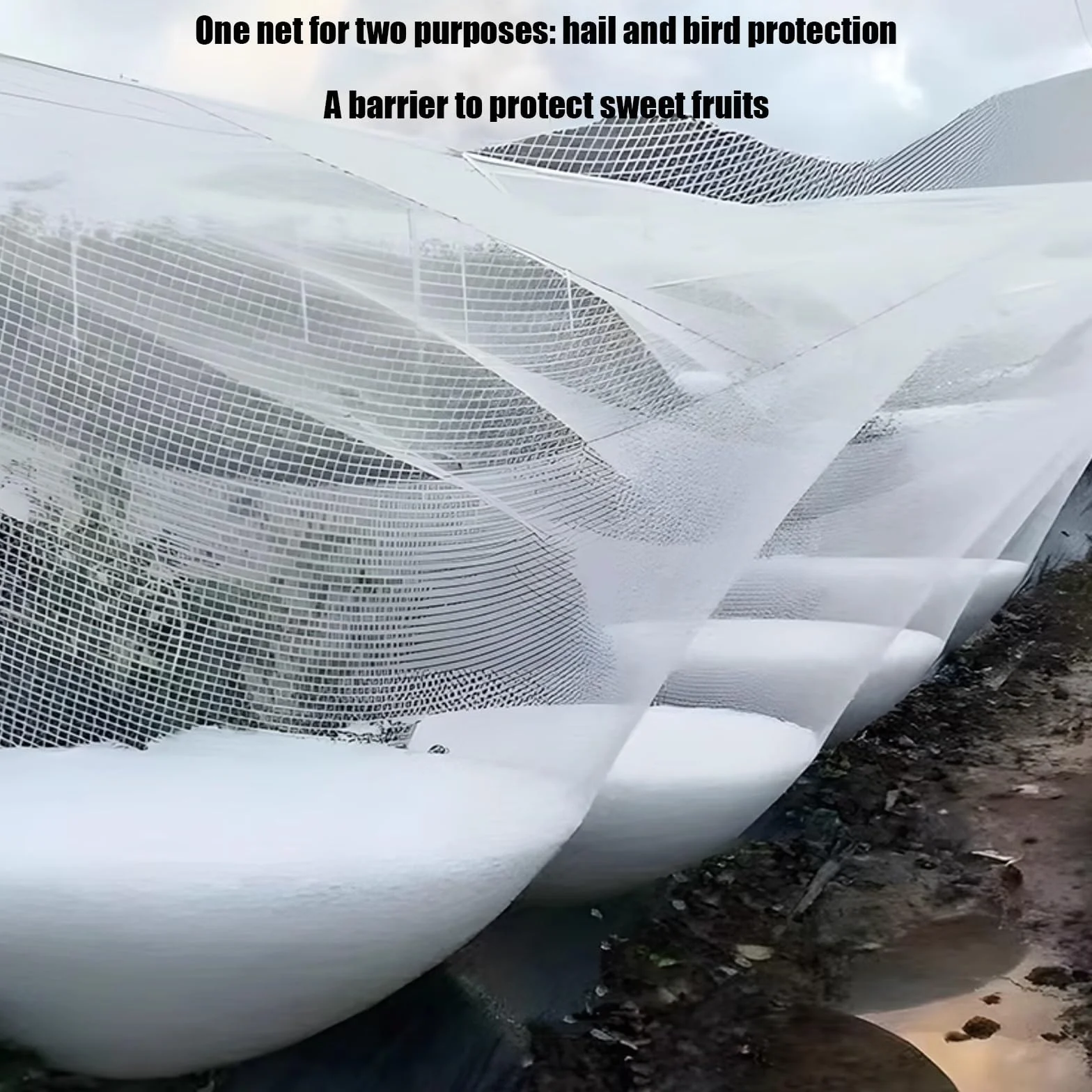 Filet Anti-grêle pour Jardin, Hail Garden Netting White Reusable Multiple Sizes HDPE