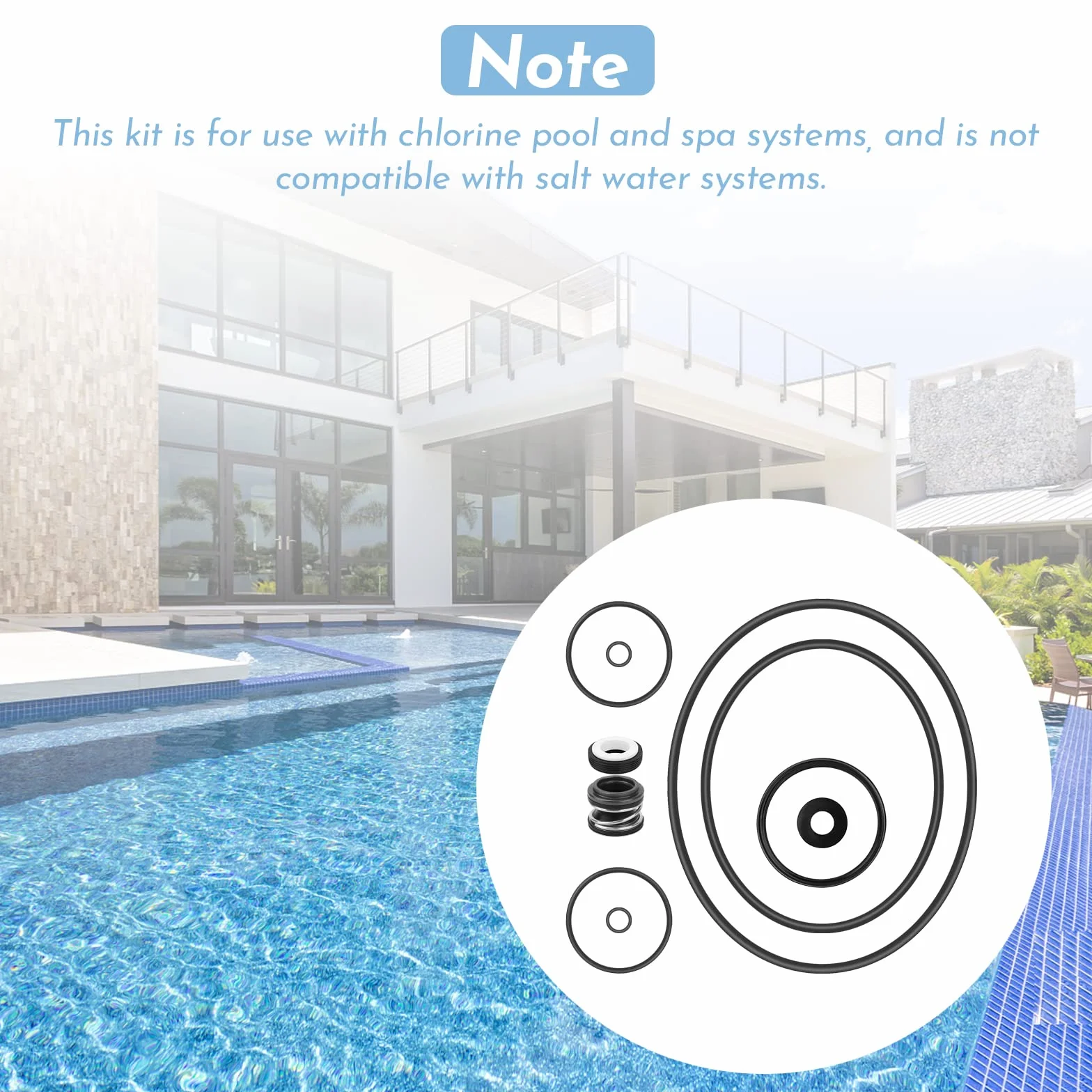 Pentair SuperFlo SuperMax Kit de réparation joint torique pompe piscine