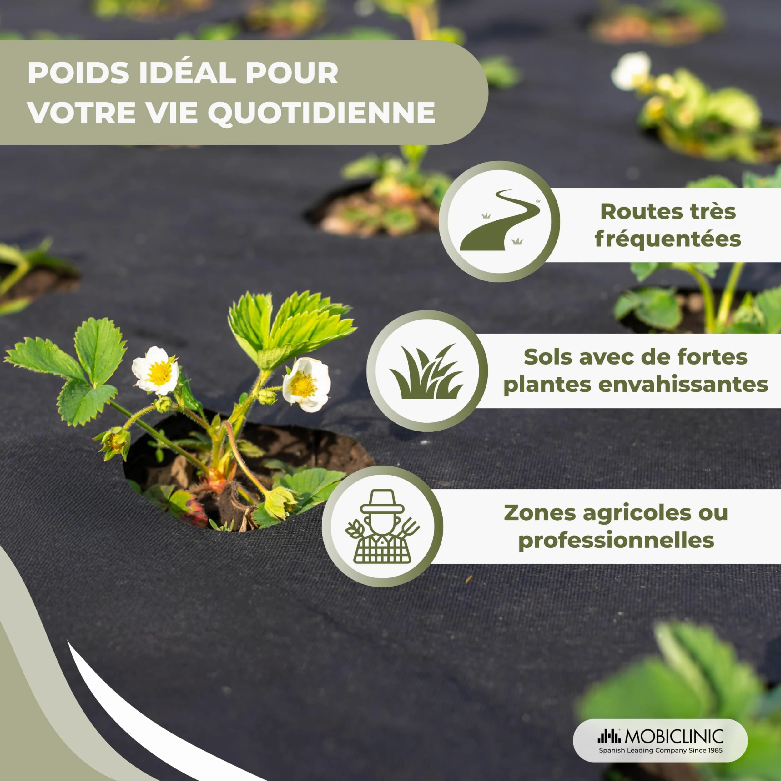 Mobiclinic®, Toile de Paillage, 150 g/m² Grammage Élevé, 1 x 50 m, Résistante aux UV et aux Déchirures, Toile Anti-Mauvaises Herbes, Perméable à l'eau, Respirante, Jardin et Serre, HerbStop