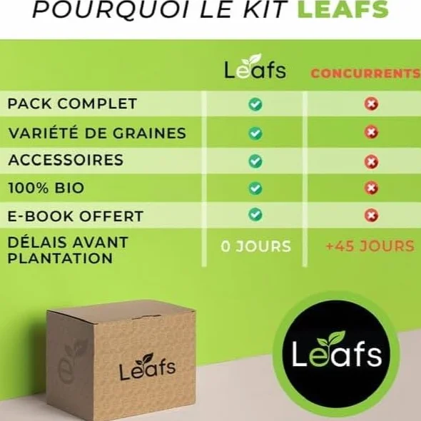 Kit Bonsai Plantation Coffret Cadeau Original Homme Femme Graines Glysines Pin Copalme Plantes Intérieur Extérieur