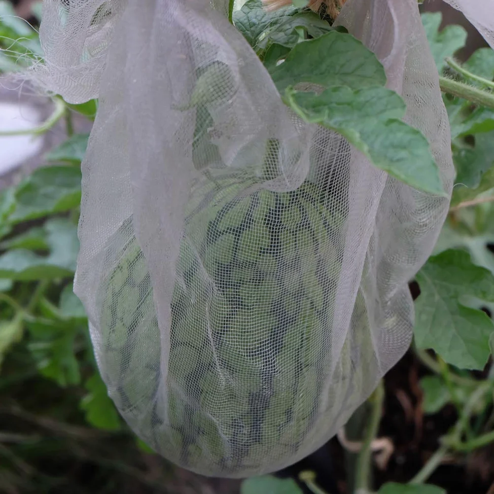 APOE Filet Anti Insecte Jardin, Filet Potager Contre Oiseau Filet Grow Tunnel Protection Plantes Maille Fine pour Fleurs, Fruits, légumes, Cultures