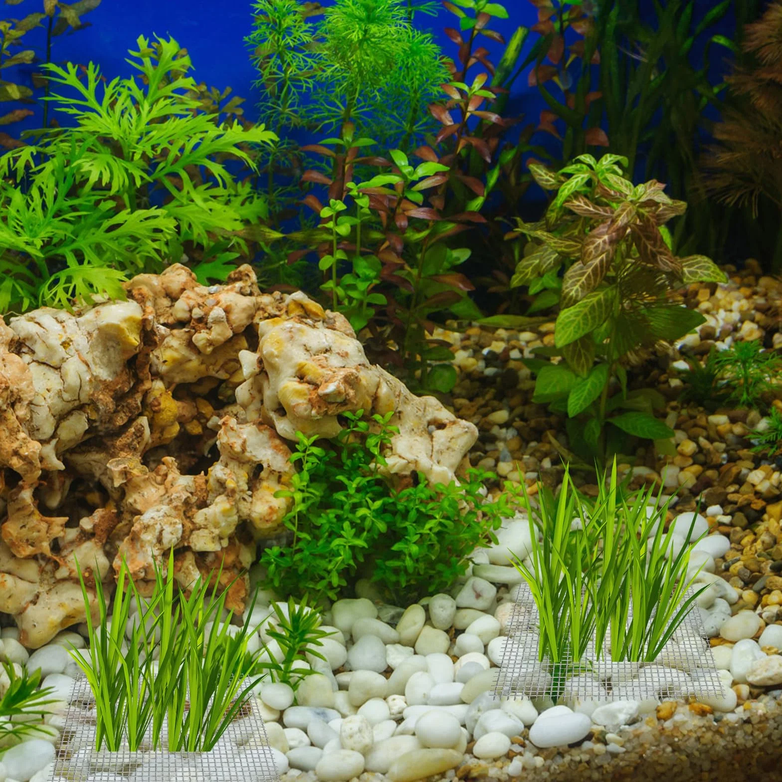 Filet en Acier Inoxydable Argenté 15pcs pour Mousse Aquatique et Java Moss, Maille Solide Résistante Accessoire Aquarium