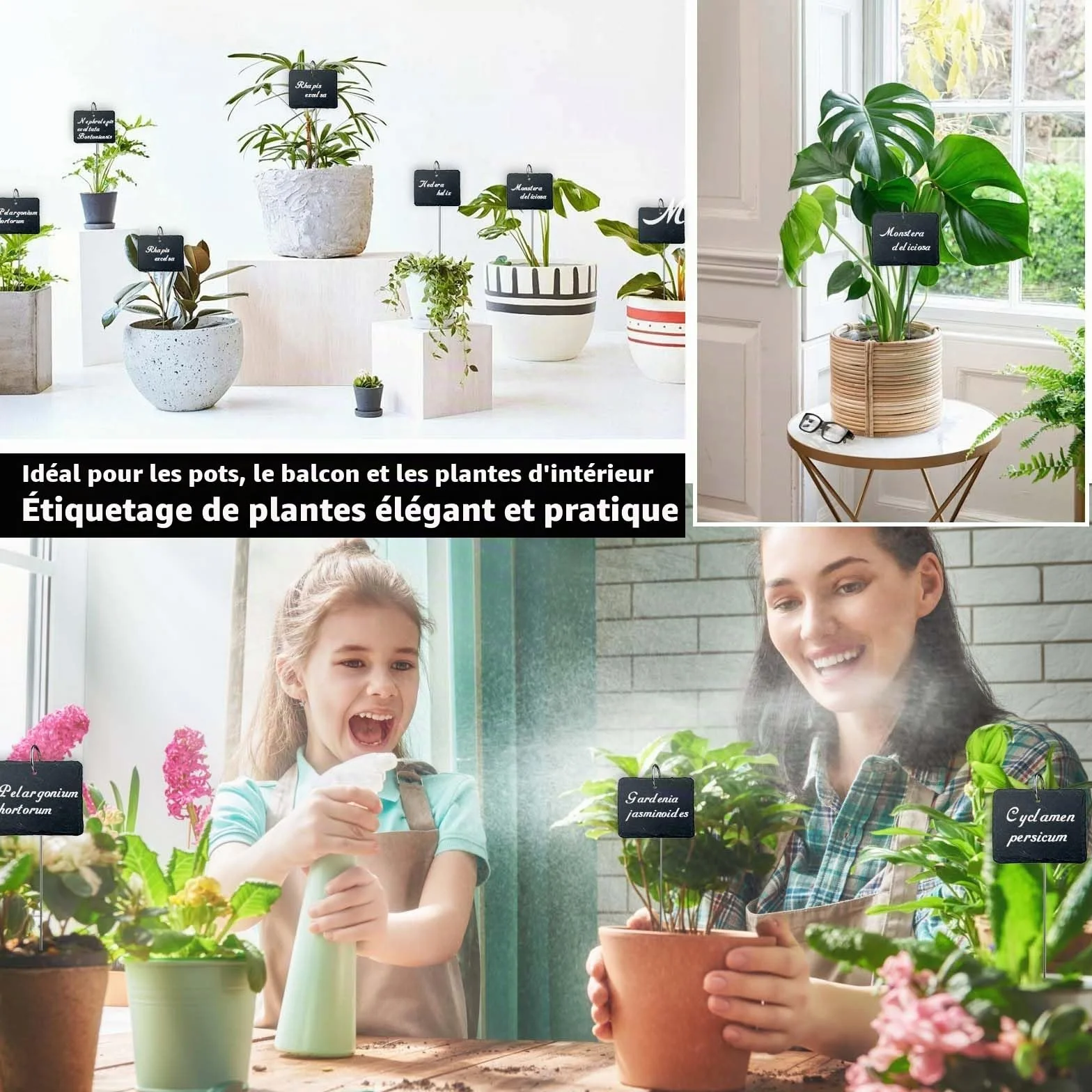 Étiquettes Plantes Ardoise Rectangulaires Lot de 12 avec Tige Métal Imperméables Extérieur Marqueurs Jardin Réutilisables Stylo Craie
