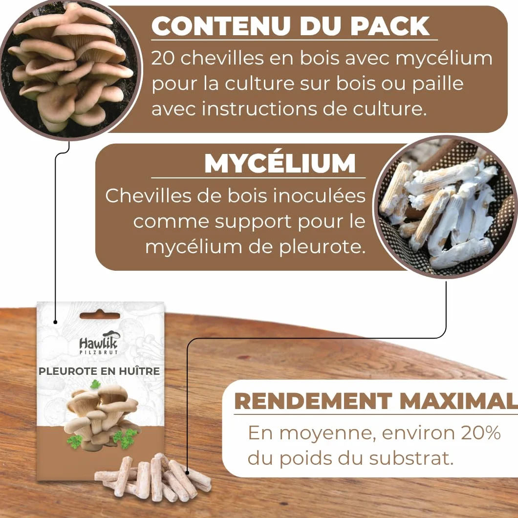 Hawlik Pilzbrut - Cheville Pleurotes en huître pour cultiver soi-même - 20 cheville avec mycélium de champignon