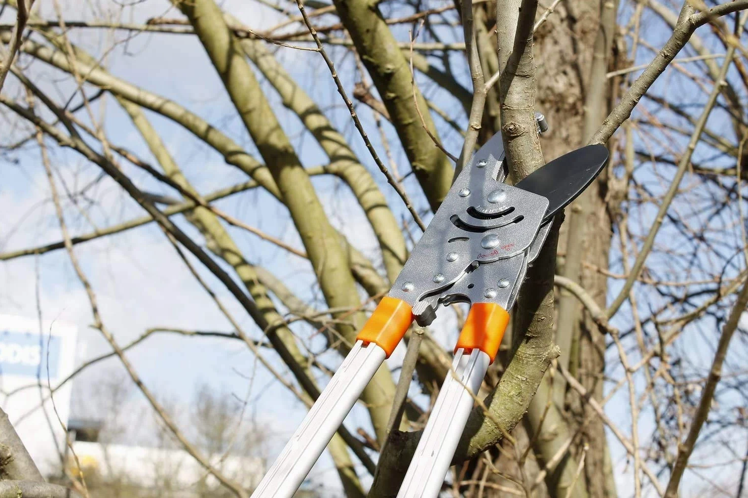 Coupe-Branches à Crémaillère Ultra Puissant | Manches Télescopiques 60-108 cm | Lame SK5 Revêtement Téflon | Coupe Facile & Précise Jusqu'à 5 cm | Élagage & Jardinage Professionnel