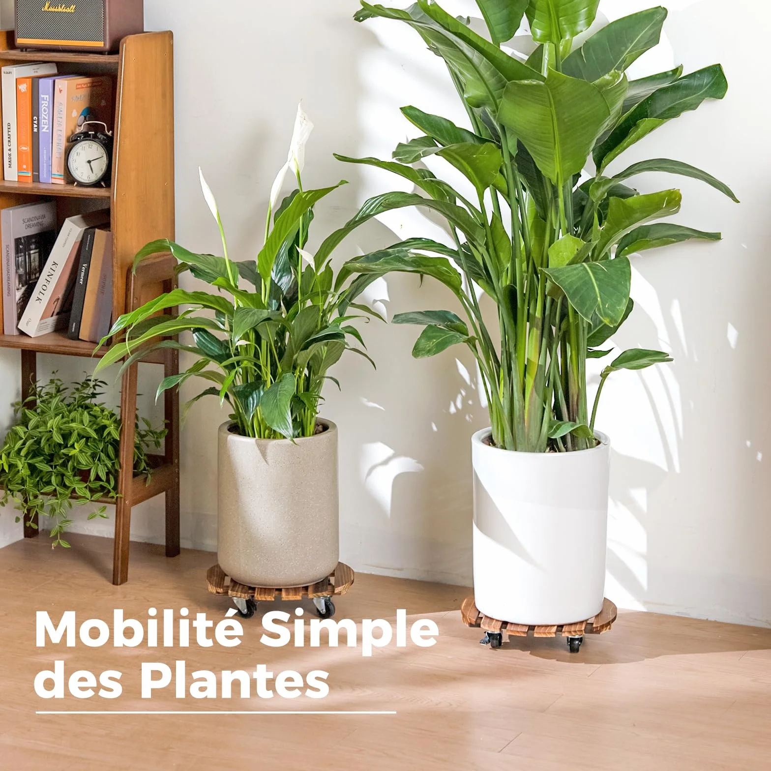 Bamworld Porte Plante à Roulettes, Lot de 2 Plateaux Roulants 30,5 cm, Capacité 100 KG, Marron Foncé