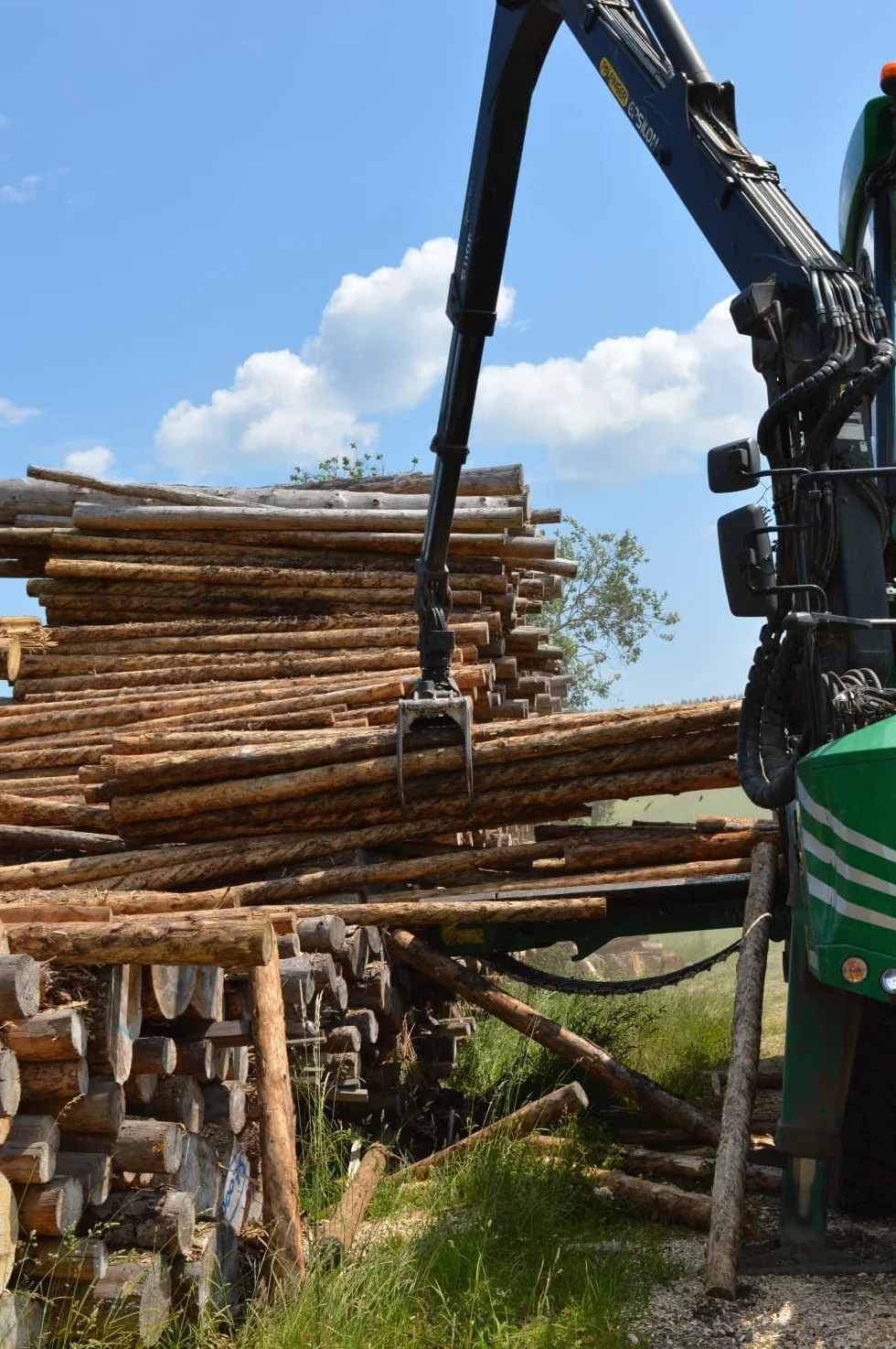 Copeaux de Bois 100 litres Paillis Jardin Litière