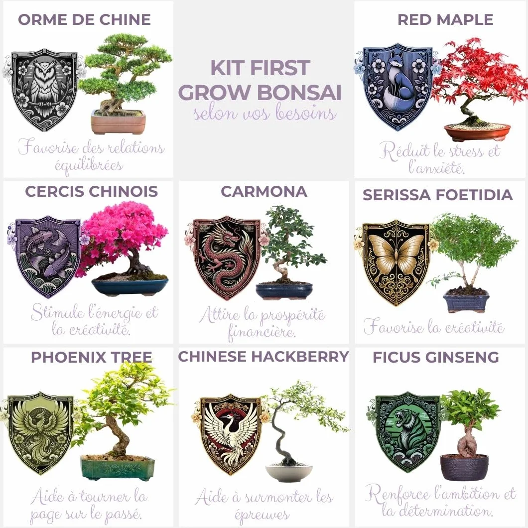 CULTIVEA® Kit First Bonsai - Kit de première culture de Bonsaï - Prêt à Pousser avec Graines & Accessoires - Made In France (Cercis Chinensis)