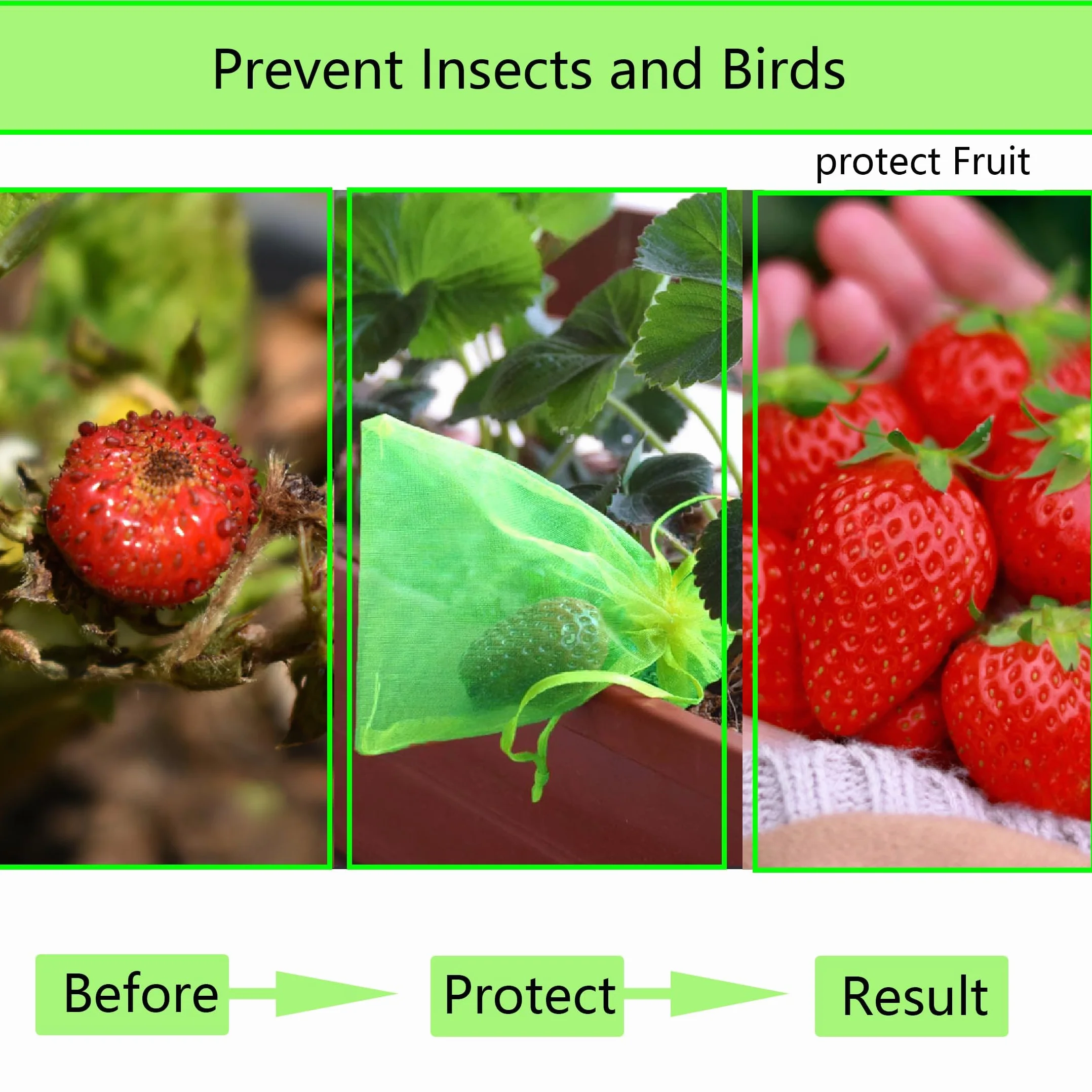 Sac Protection Fruits 40x30cm 50 pièces Sachet Protection Raisin Respirant Cordon Serrage
