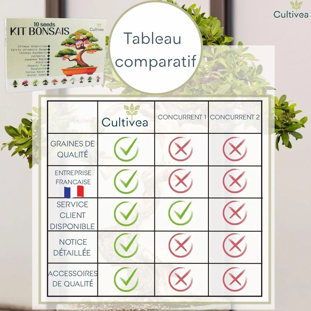 CULTIVEA® Kit Bonsai Prêt à Pousser – Coffret Complet Graines Pots Outils Notice – Jardinage Intérieur