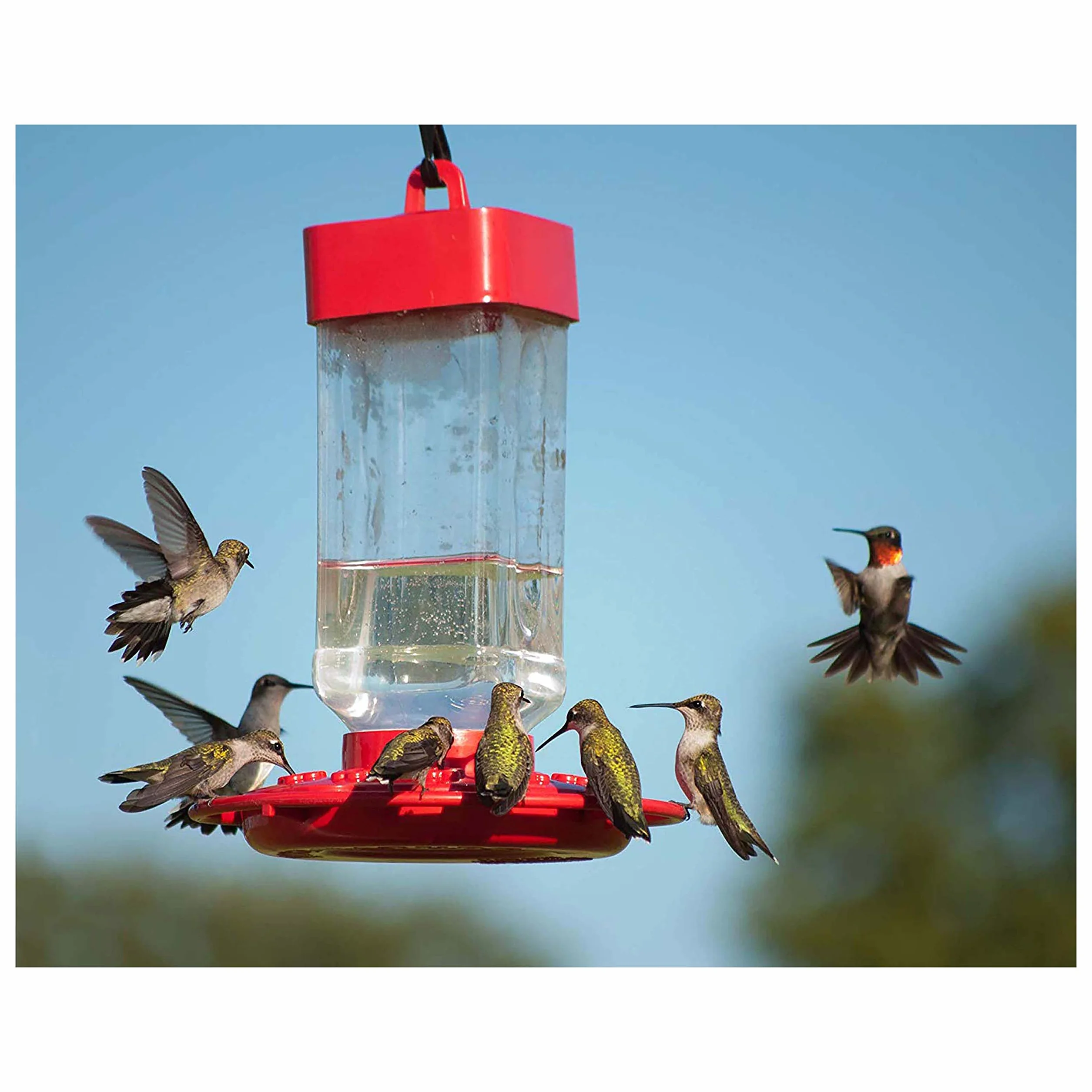 Kaytee Electro Nectar Hummingbird Wild Bird Formula 64oz