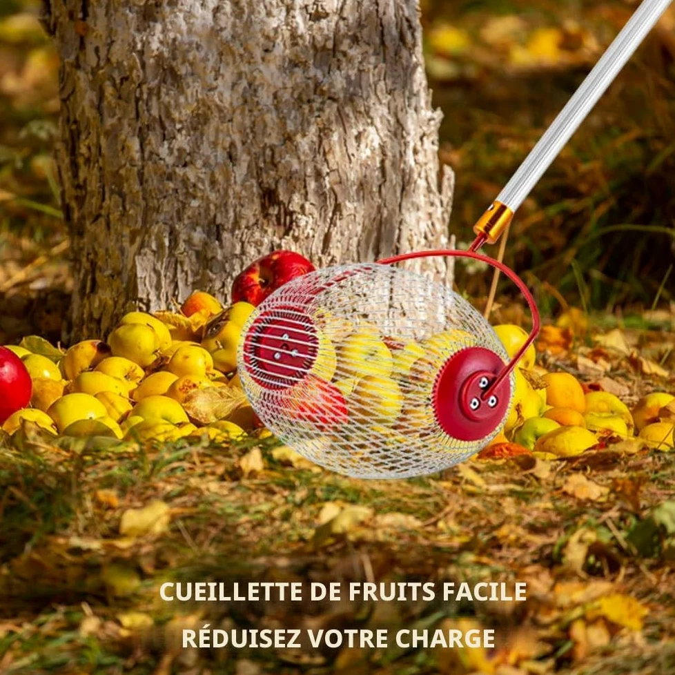 Collecteur de Noix, Ramasse Fruit avec Tige Télescopique Réglable, Rouleau Ramasse Noix avec Sac de Rangement, Collecteur de Rouleaux pour Balles, Noix de Pécan, Les Pruneaux, Golf, Etc.