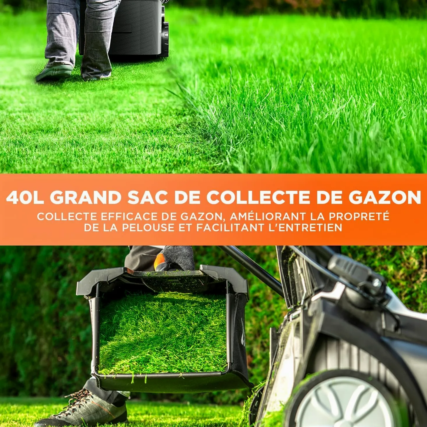 Litheli Tondeuse à Gazon sans Fil 43cm Coupe - Moteur Brushless, 2X 20V Batteries 4.0Ah, Hauteur Réglable 25-75mm, Bac 40L, pour Pelouses jusqu'à 500m² (Jardin & Petits Espaces)