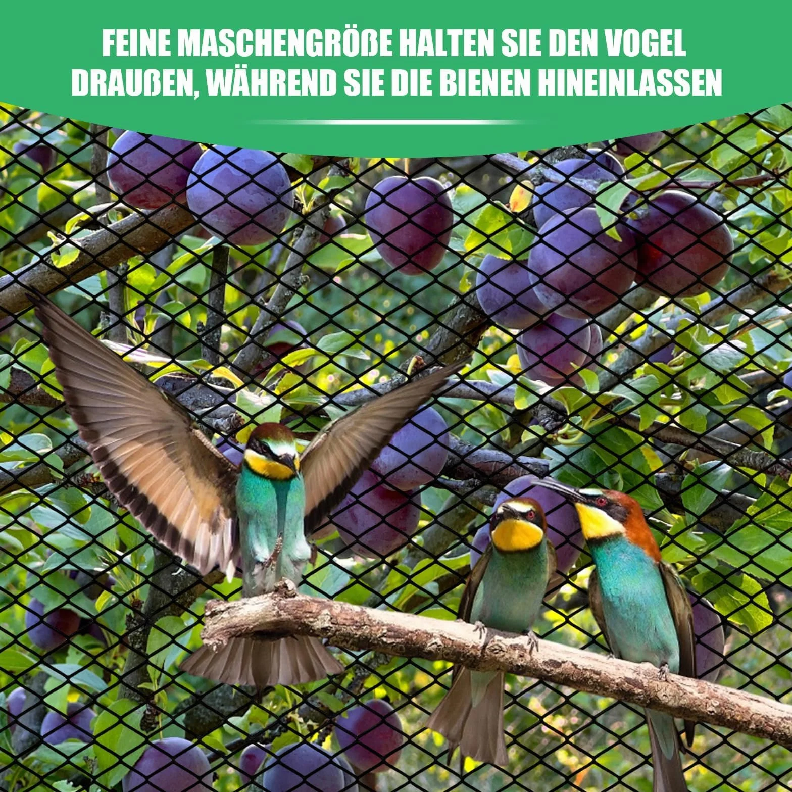 Filet de bassin à mailles fines polyéthylène 4 x 6 m noir protection oiseaux