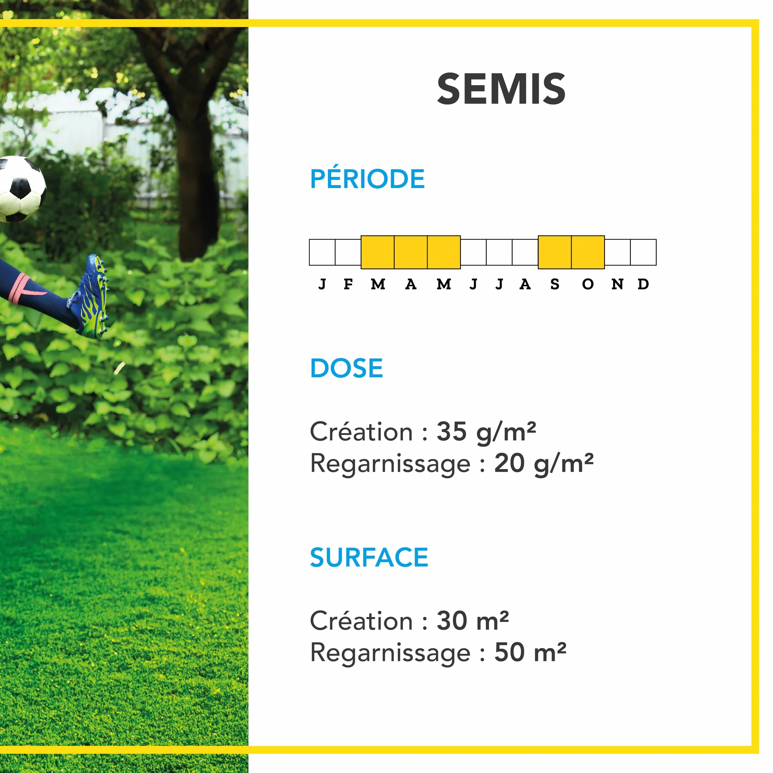 BARENBRUG Gazon Sport Usage intensif Super Résistant 1KG