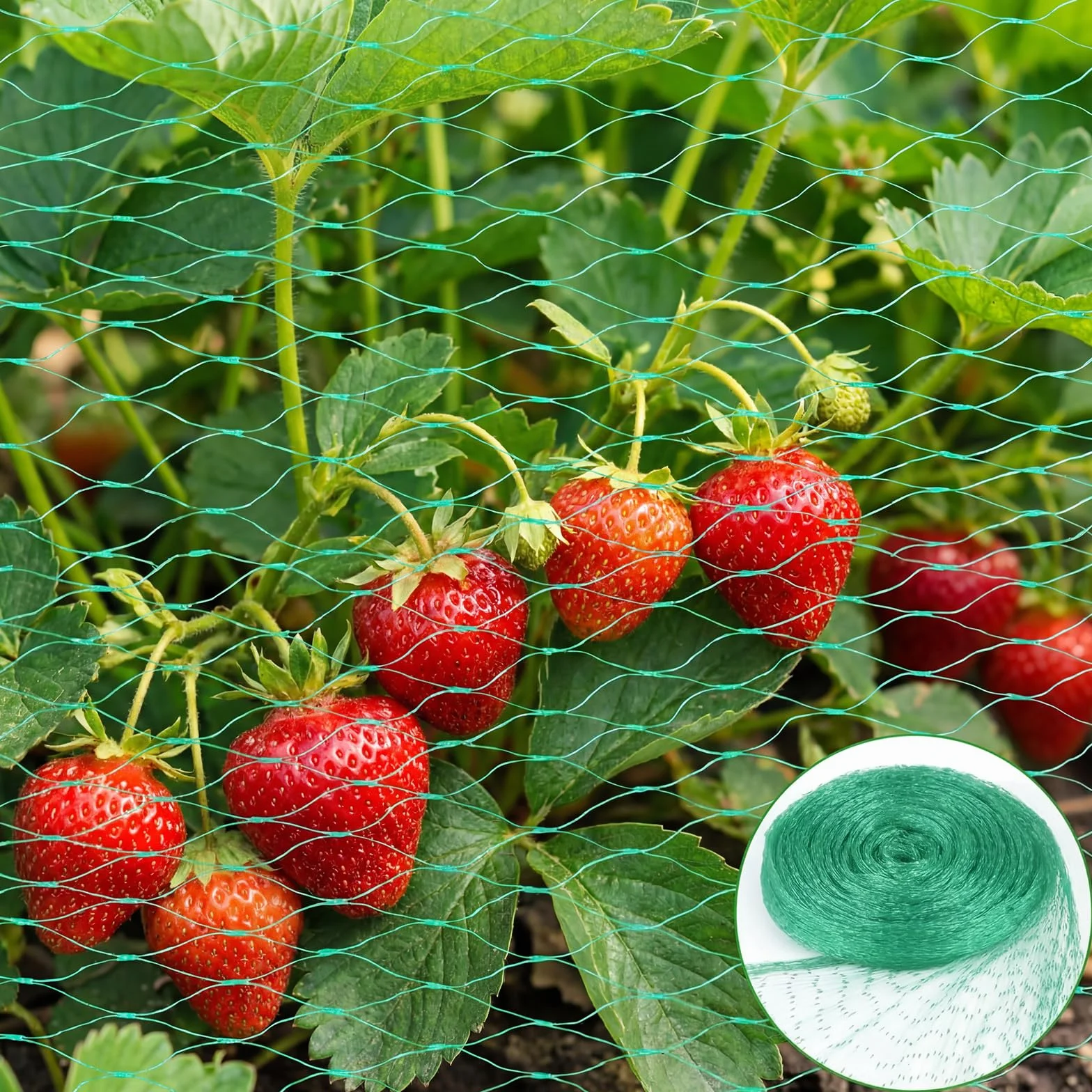 Filet Anti Oiseaux Vert 4 x 6 M Filet de Protection pour Plantes Potagers Arbres Fruitiers