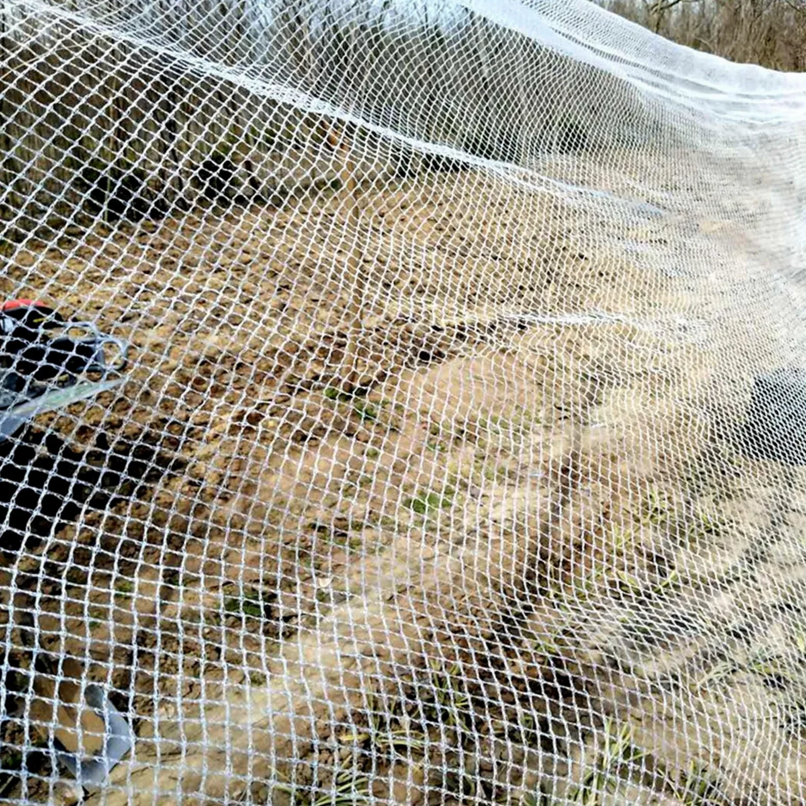 Generisch Filet de protection contre la grêle, filet de protection des légumes pour le jardin et l'agriculture, filet anti-oiseaux, réutilisable et découpable