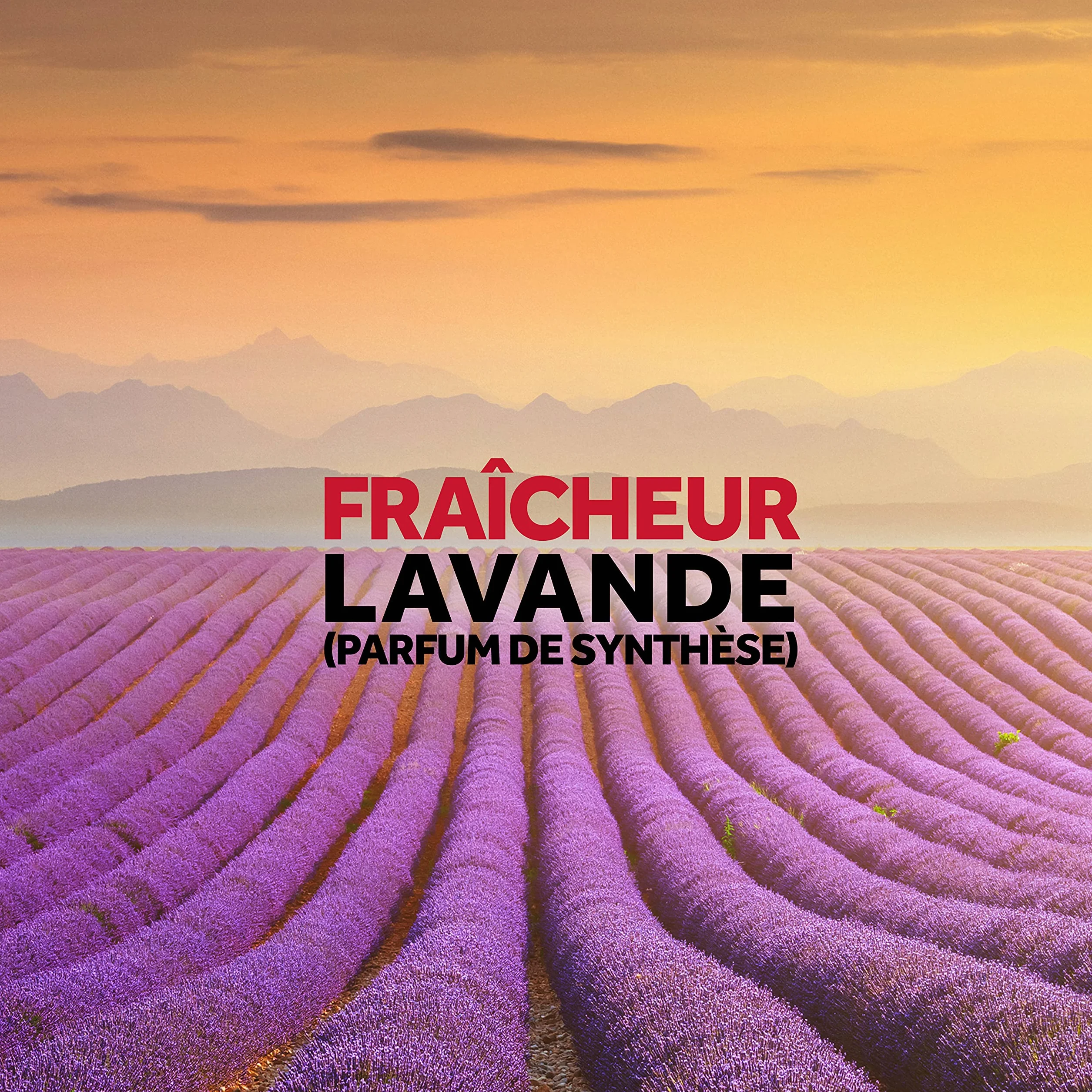 Raid Crochets Anti-Mites parfumés fraîcheur lavande 2 pièces