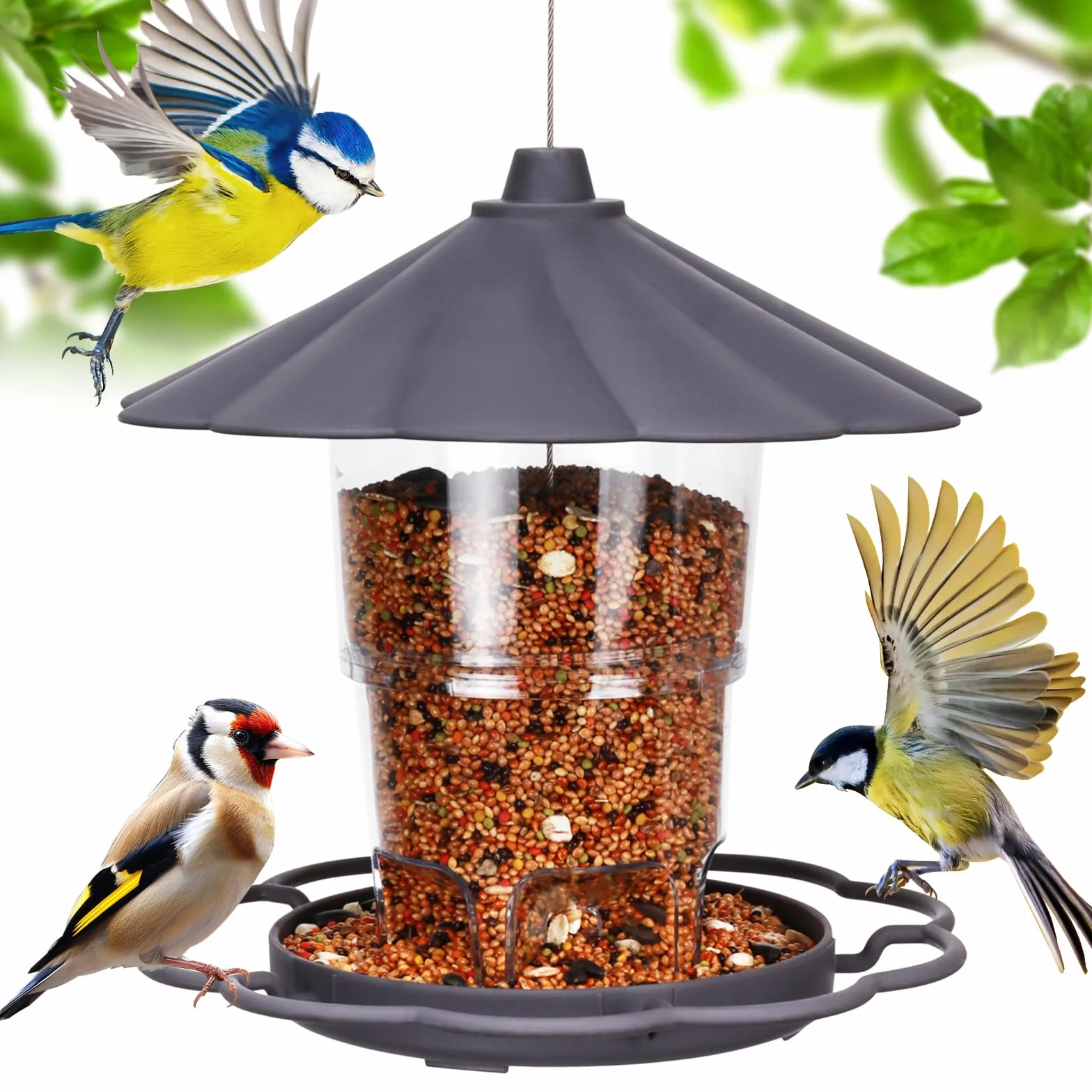 Mangeoire Oiseaux Extérieur Suspendue 820ml Résistant aux Intempéries pour Petits Oiseaux Sauvages