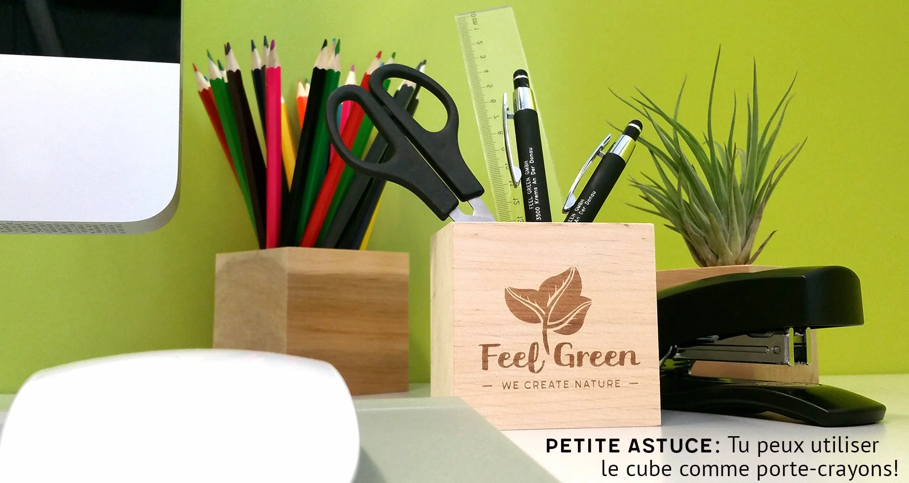 Feel Green Ecocube Trèfle À Quatre Feuilles Kit Prêt-à-Pousser 7.5cm