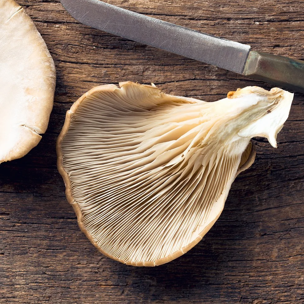 Kit de Culture de Champignons Pleurotes à la Maison | Champignon Gourmet en 15 Jours | Cultive Facilement pour Foodies, Chefs et Amateurs de Cuisine | Cadeau Original | Resetea