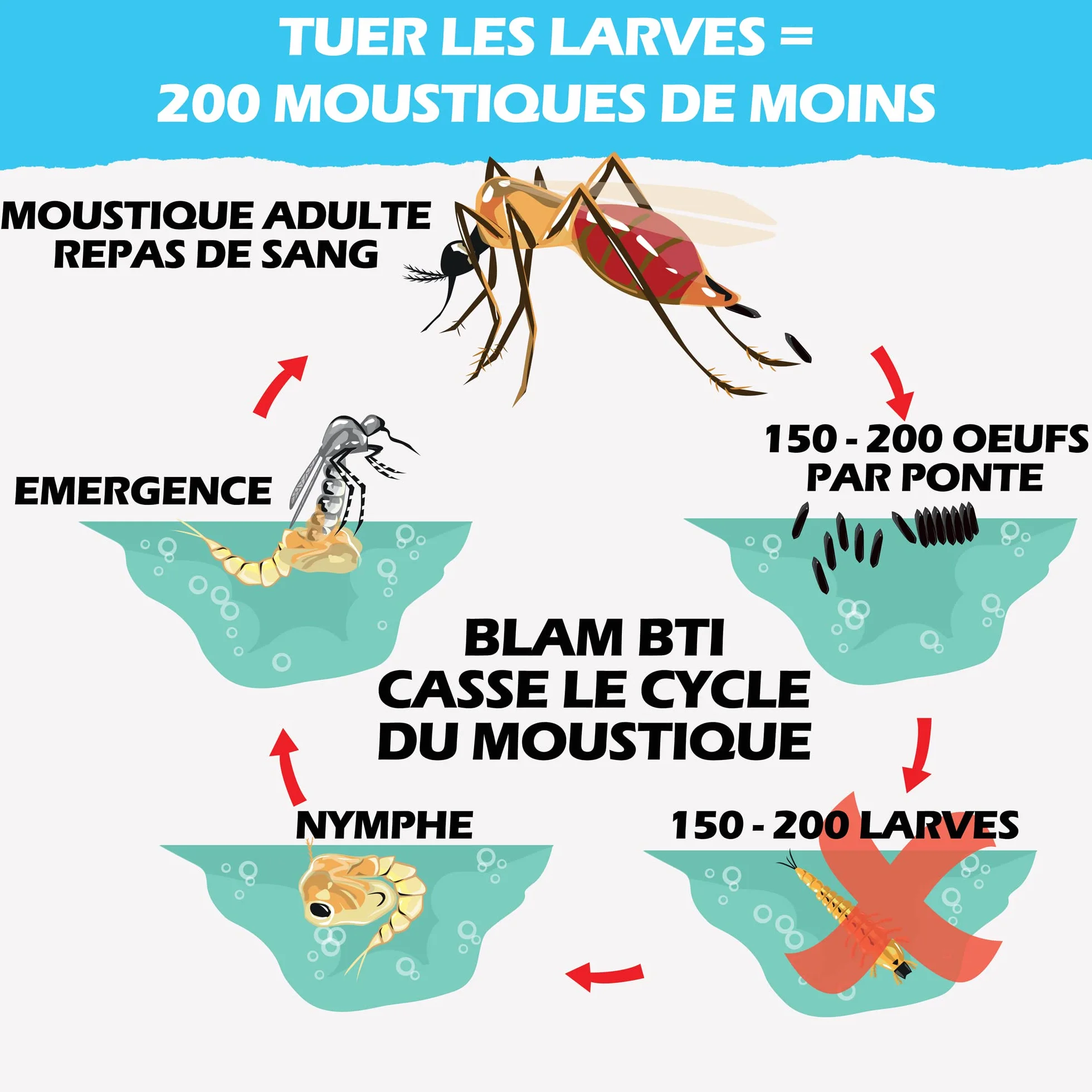 BLAM LarvZero BTI 100g – Larvicide naturel contre les mouches du terreau (Sciaridae) – Bacillus Thuringiensis Israelensis concentré pour 50L de solution