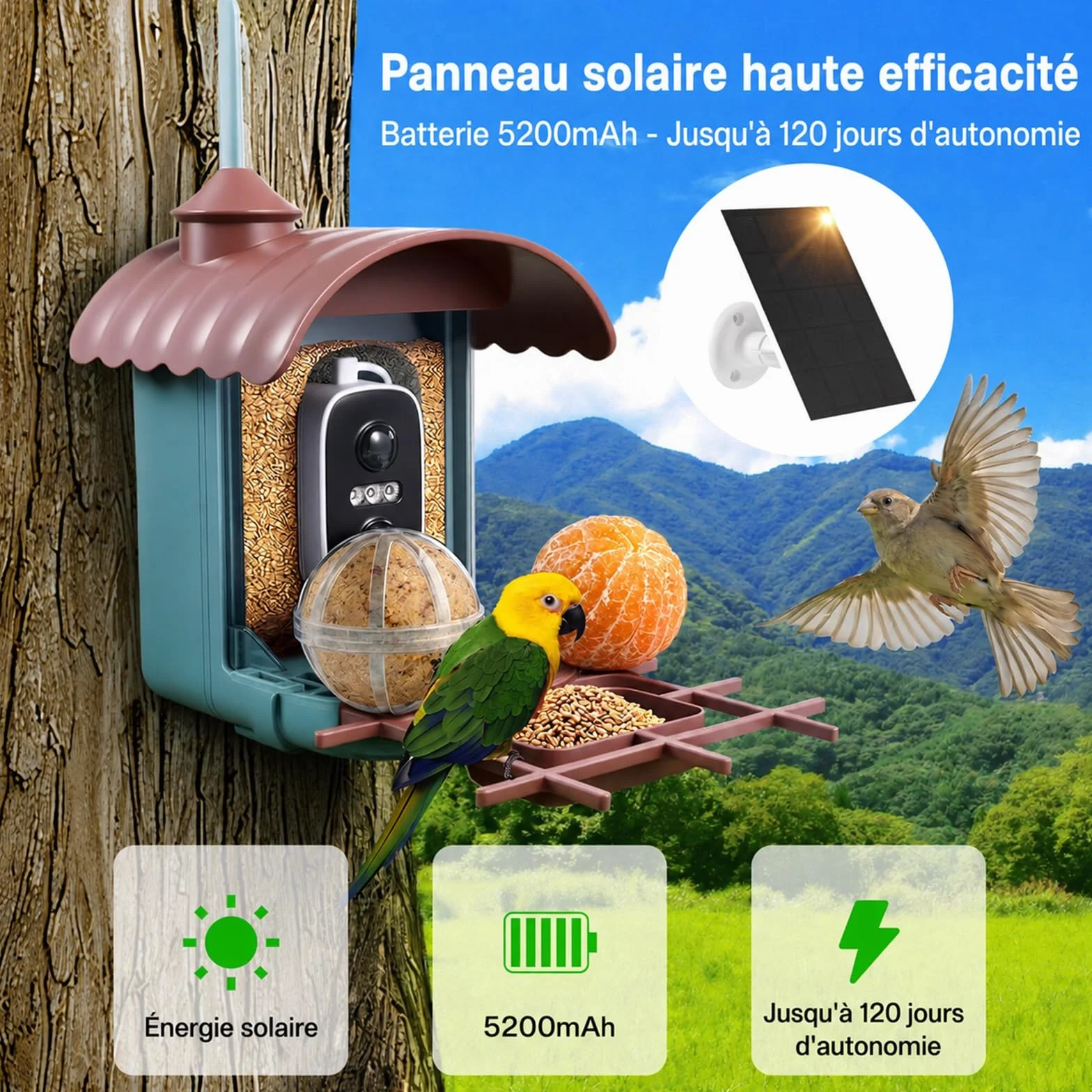 Nichoir à Oiseaux avec Caméra 4MP Solaire mangeoire Station d'alimentation Enregistrement vidéo Photo Identification IA Détection Mouvement Notification